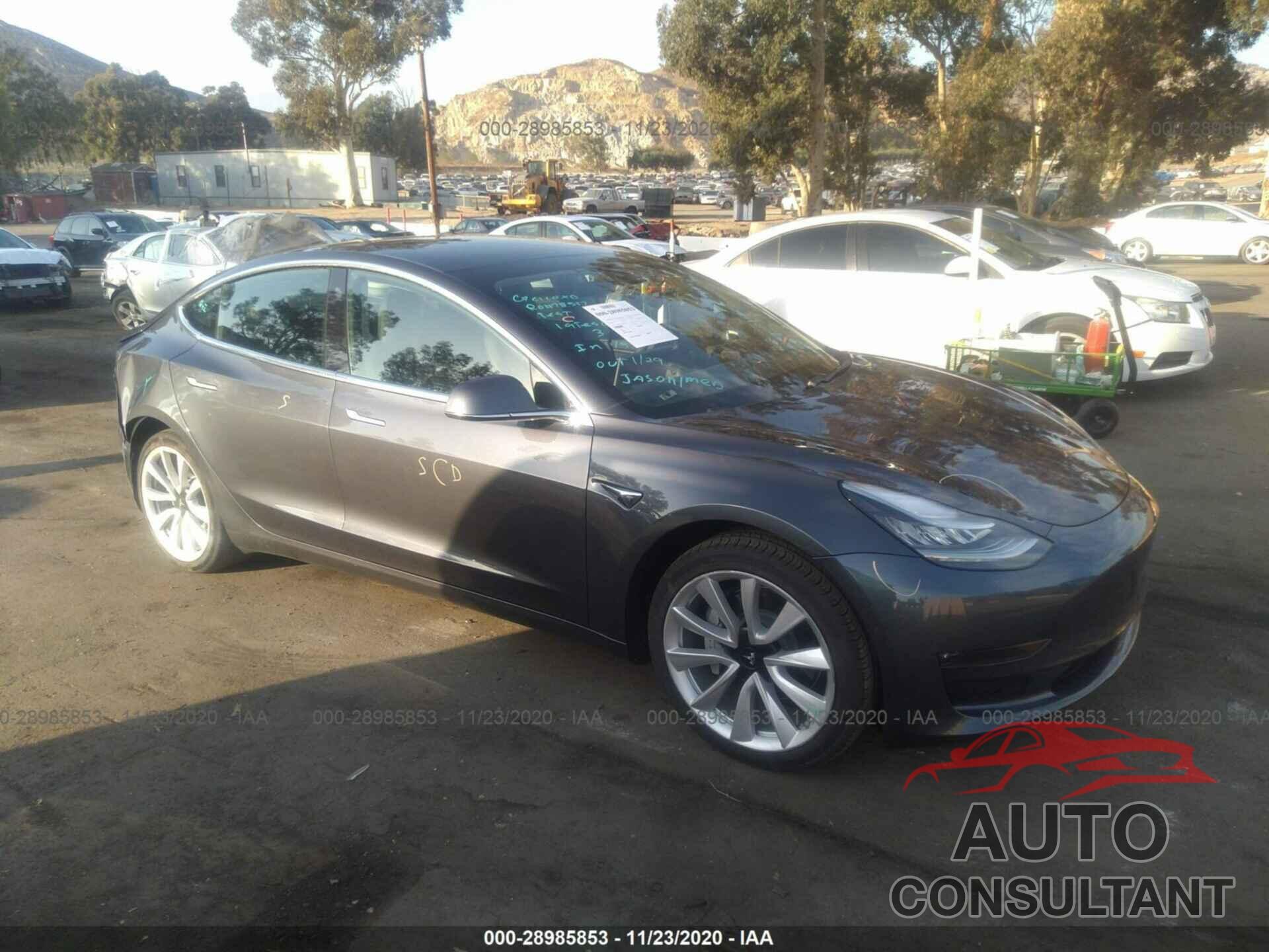 TESLA MODEL 3 2019 - 5YJ3E1EA0KF402045