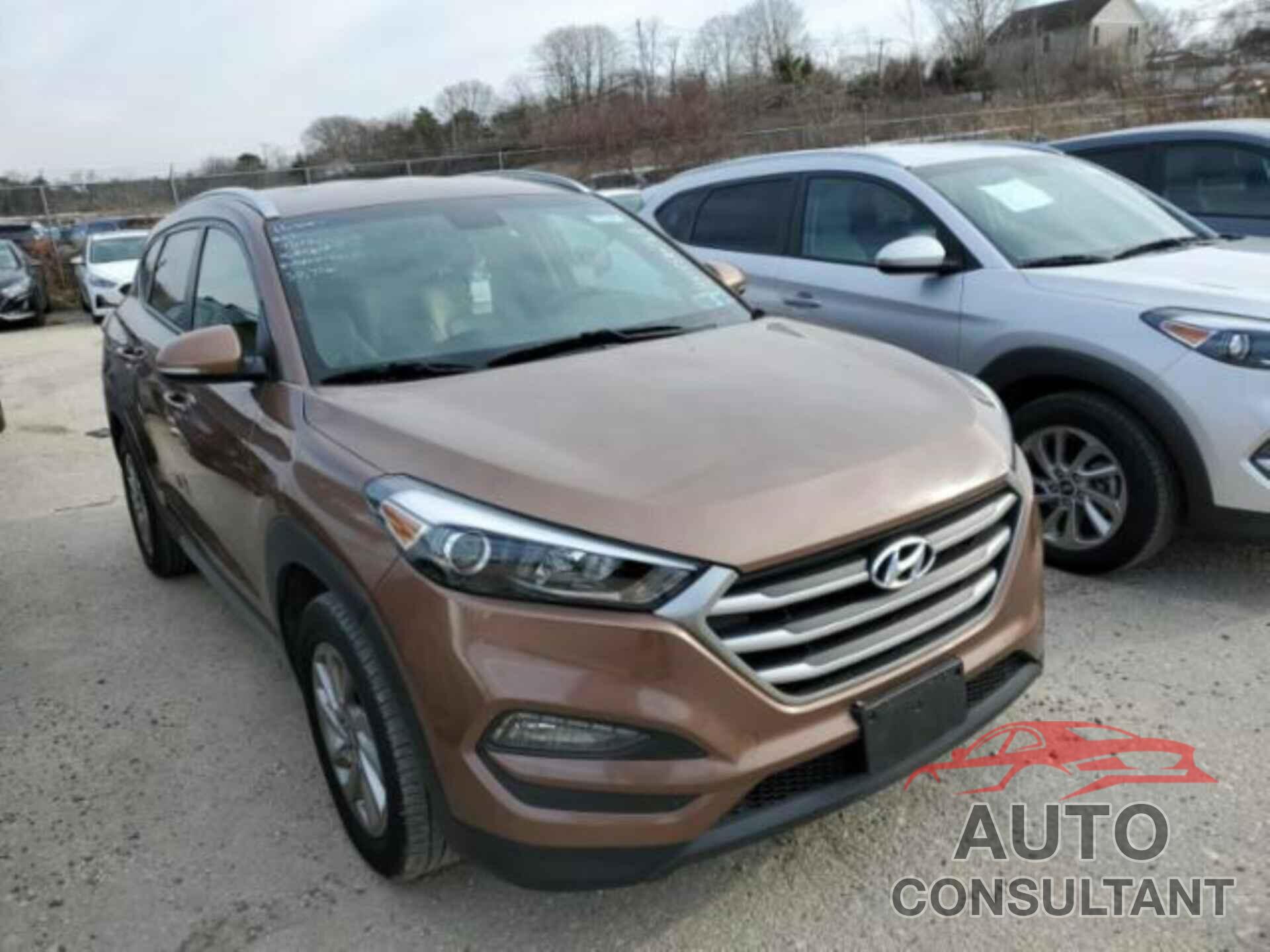 HYUNDAI TUCSON 2017 - KM8J3CA45HU456087