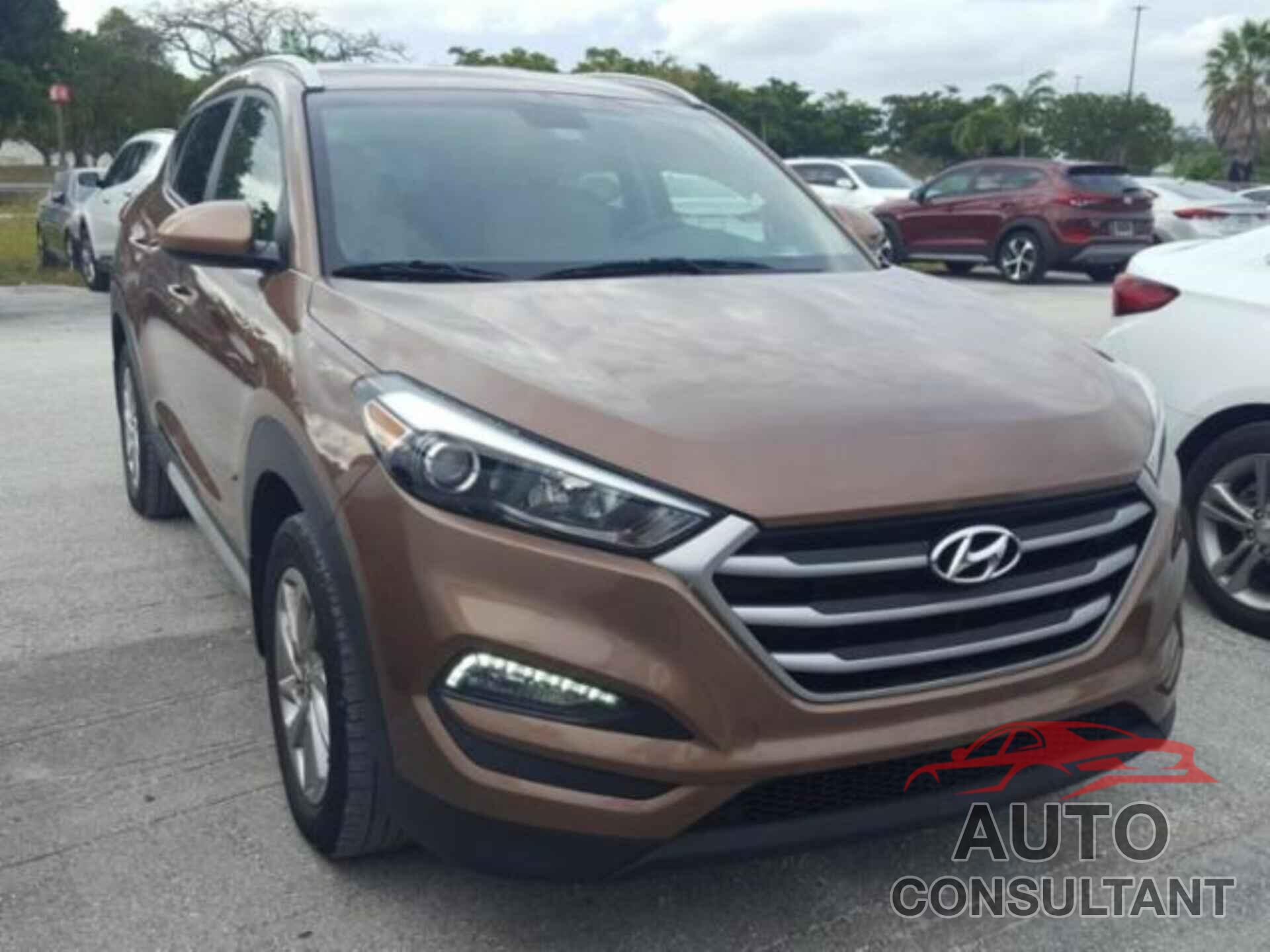 HYUNDAI TUCSON 2017 - KM8J33A45HU521830