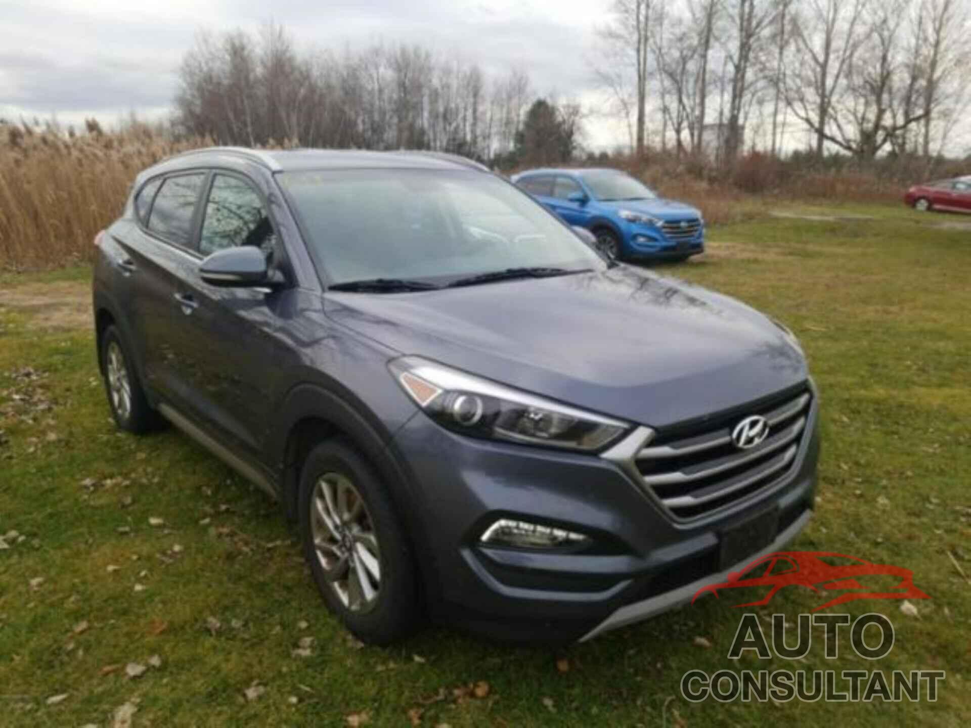 HYUNDAI TUCSON 2017 - KM8J3CA22HU311376
