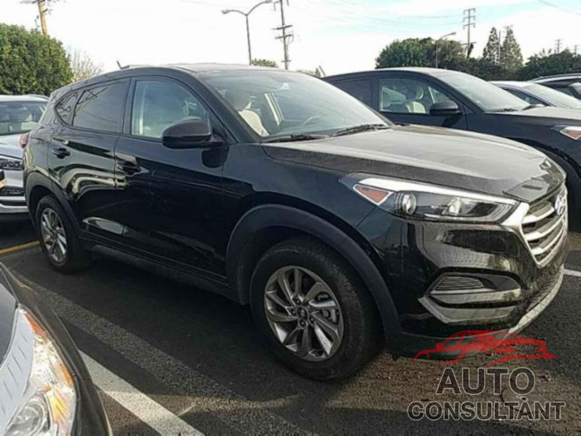 HYUNDAI TUCSON 2017 - KM8J23A49HU528752