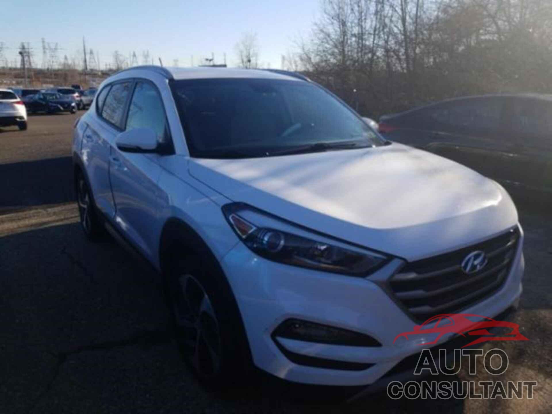 HYUNDAI TUCSON 2017 - KM8J3CA29HU297363