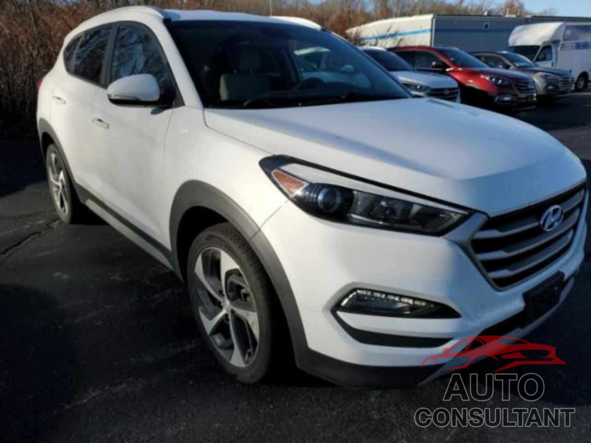 HYUNDAI TUCSON 2017 - KM8J3CA24HU592516