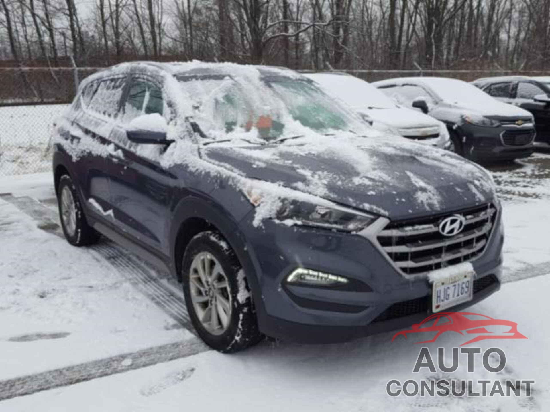 HYUNDAI TUCSON 2017 - KM8J33A42HU503706