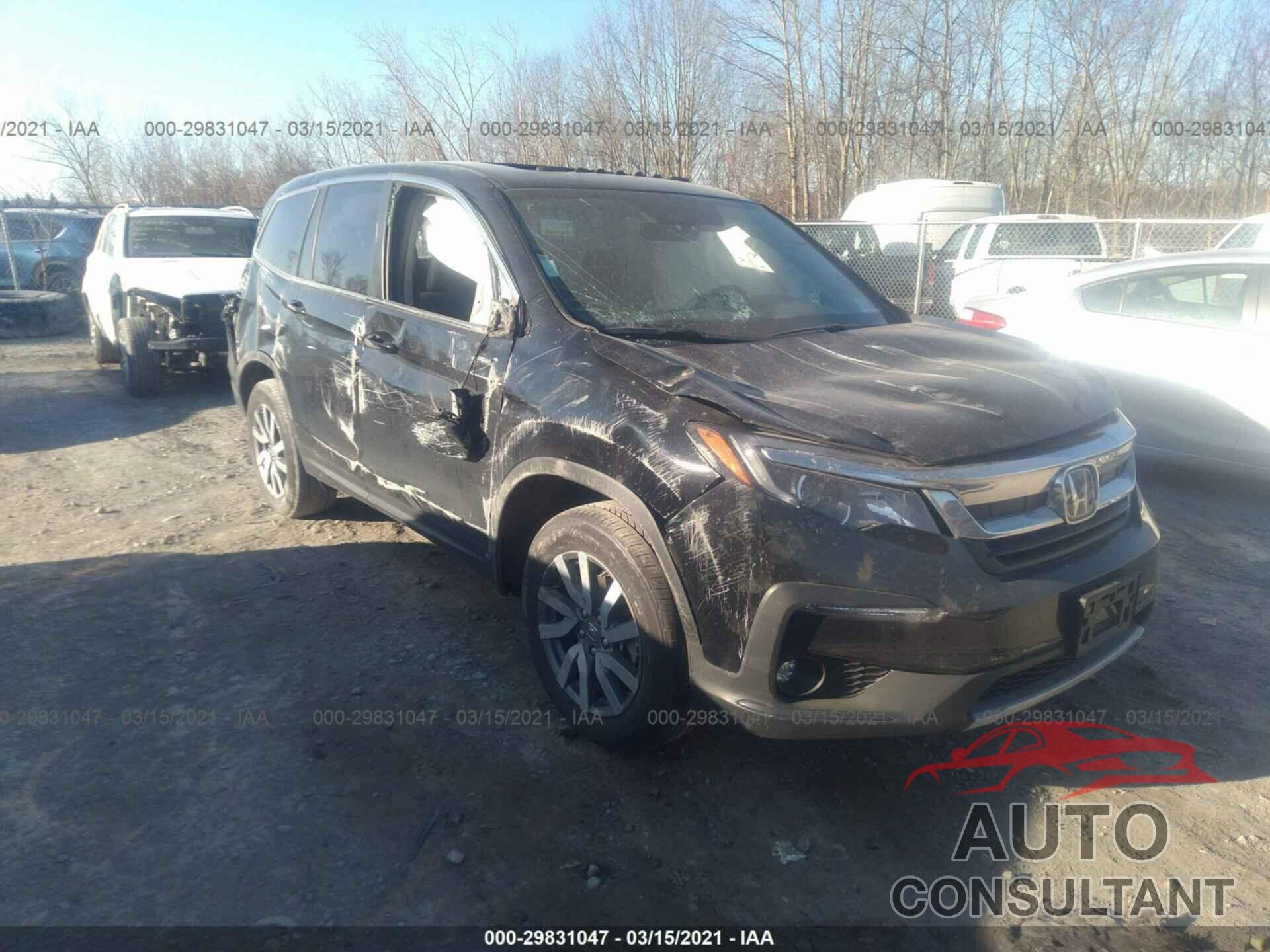 HONDA PILOT 2019 - 5FNYF6H55KB101091