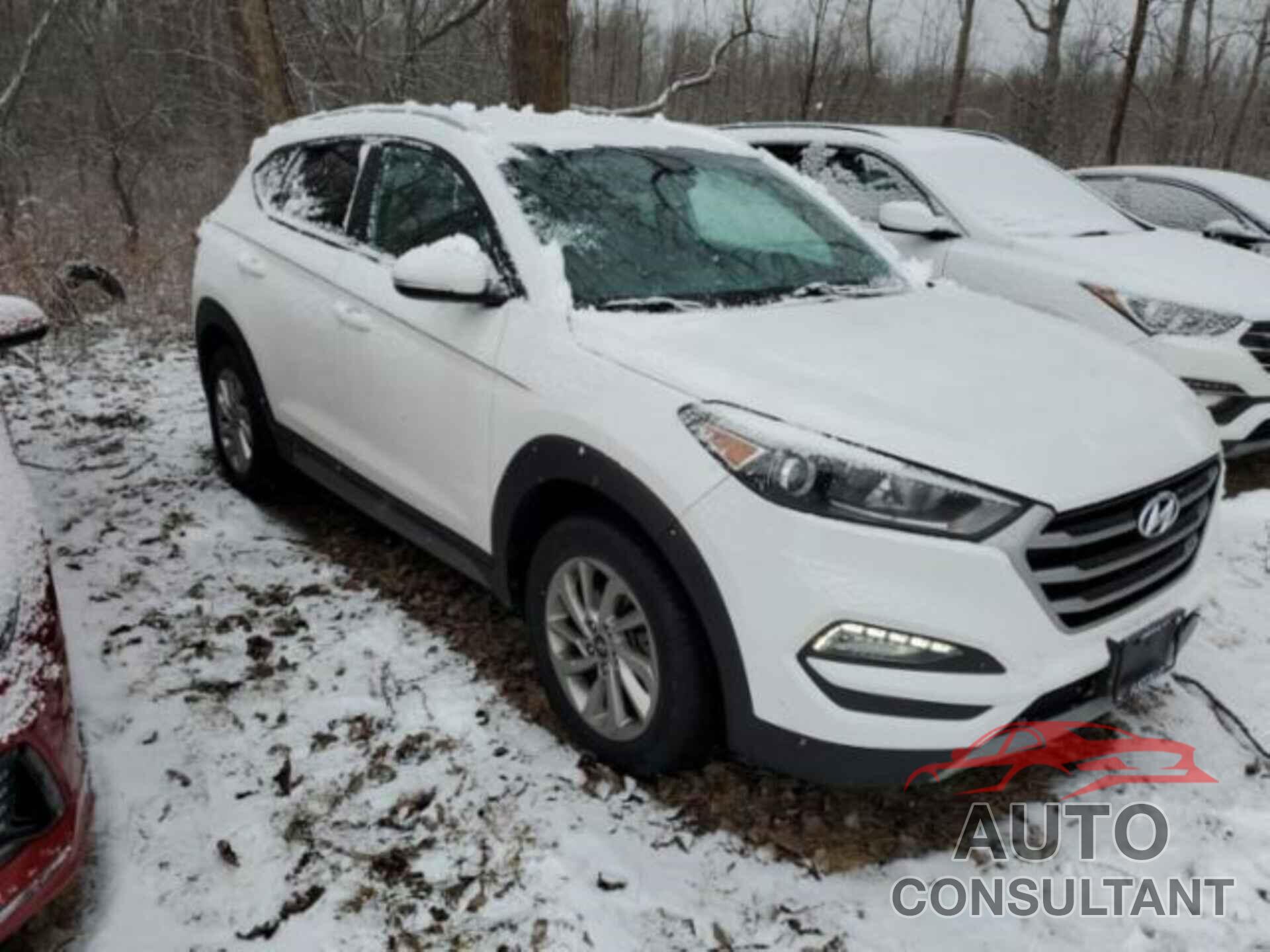 HYUNDAI TUCSON 2017 - KM8J3CA23HU330454