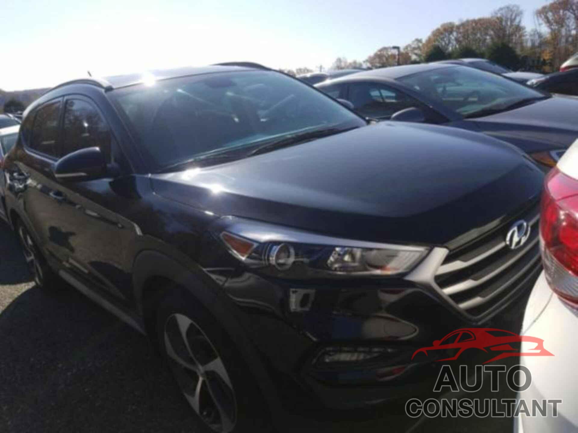 HYUNDAI TUCSON 2017 - KM8J3CA25HU528775