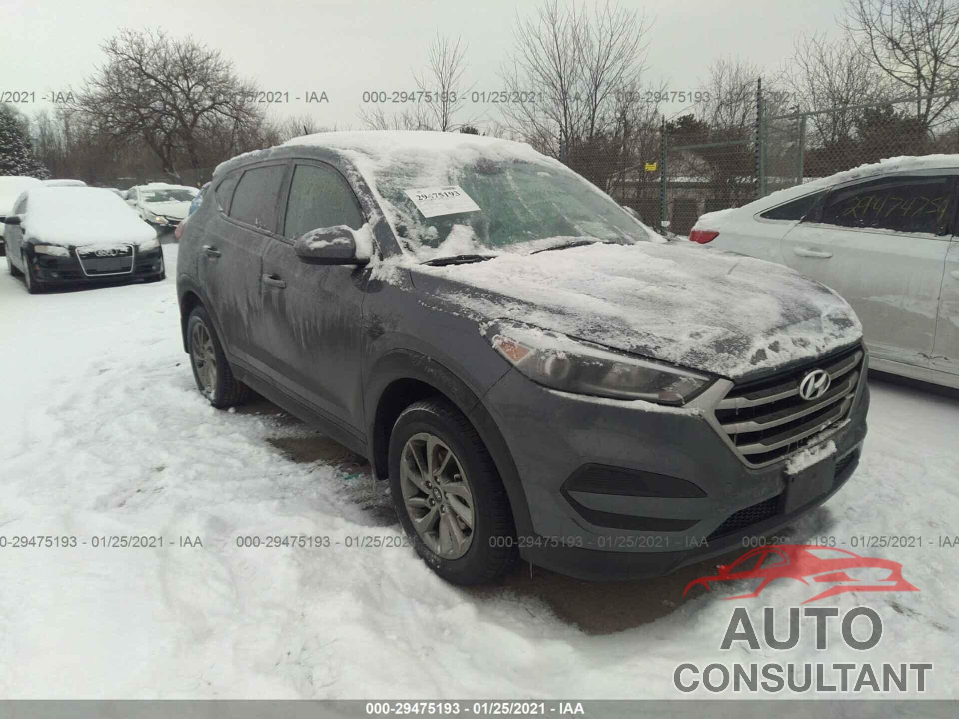 HYUNDAI TUCSON 2017 - KM8J23A47HU443408