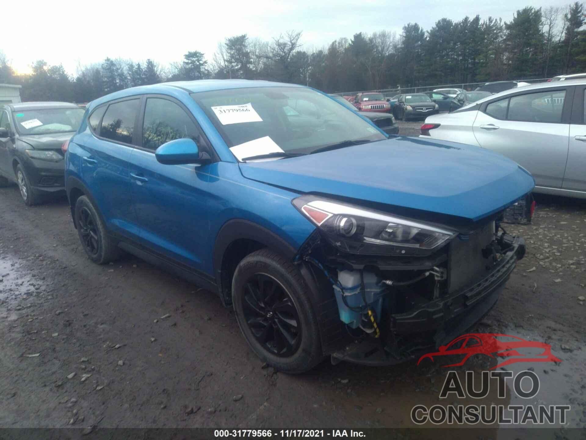 HYUNDAI TUCSON 2017 - KM8J23A47HU387650