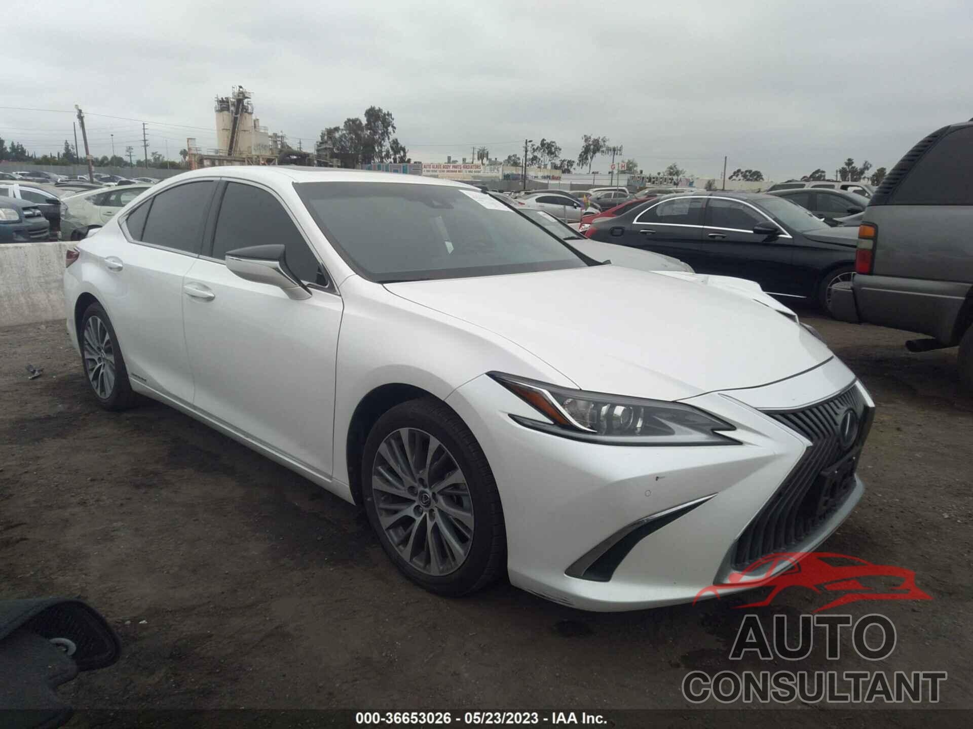 LEXUS ES 2021 - 58ADA1C11MU005171