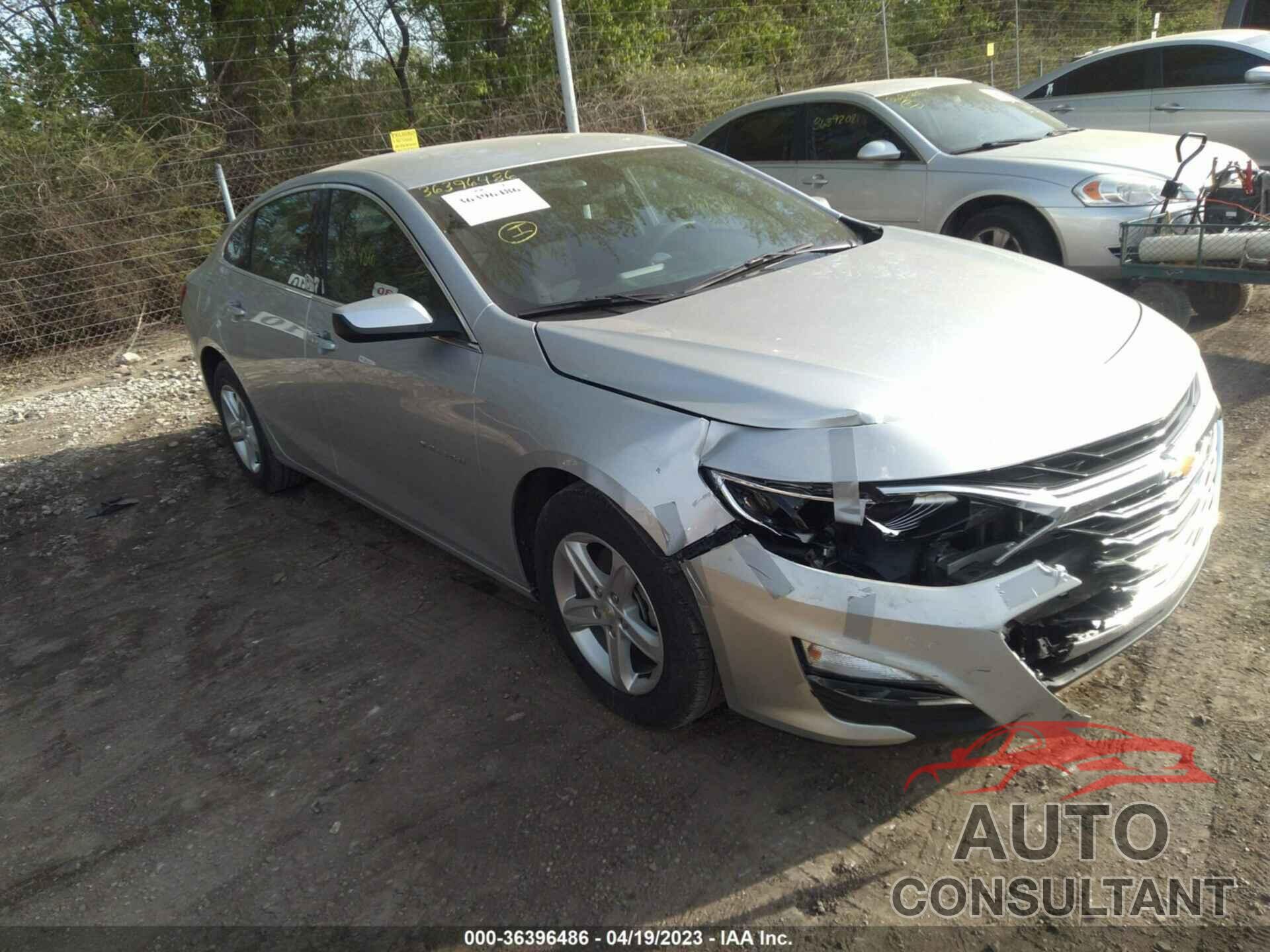 CHEVROLET MALIBU 2021 - 1G1ZB5STXMF077721