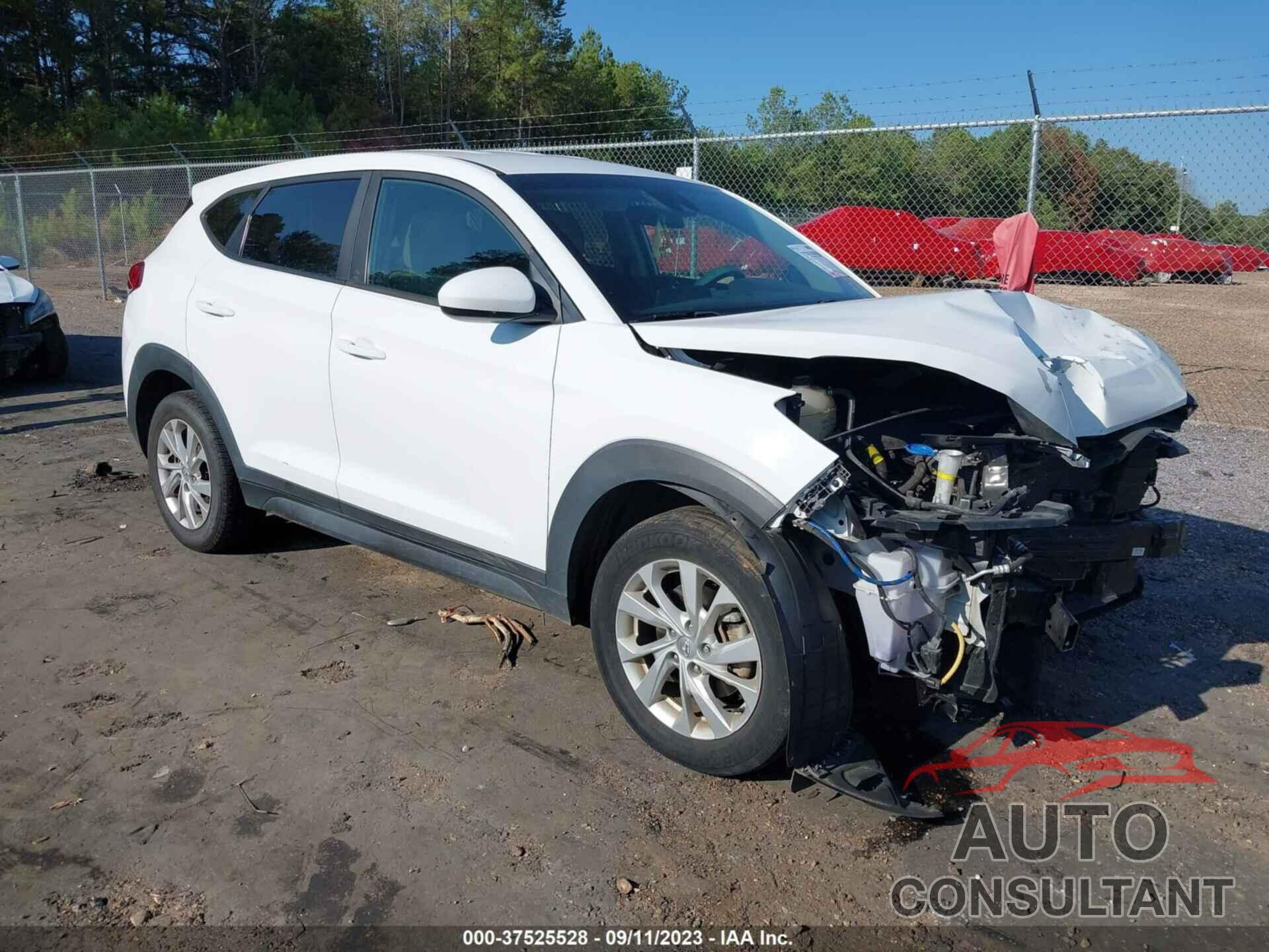 HYUNDAI TUCSON 2019 - KM8J23A46KU876273