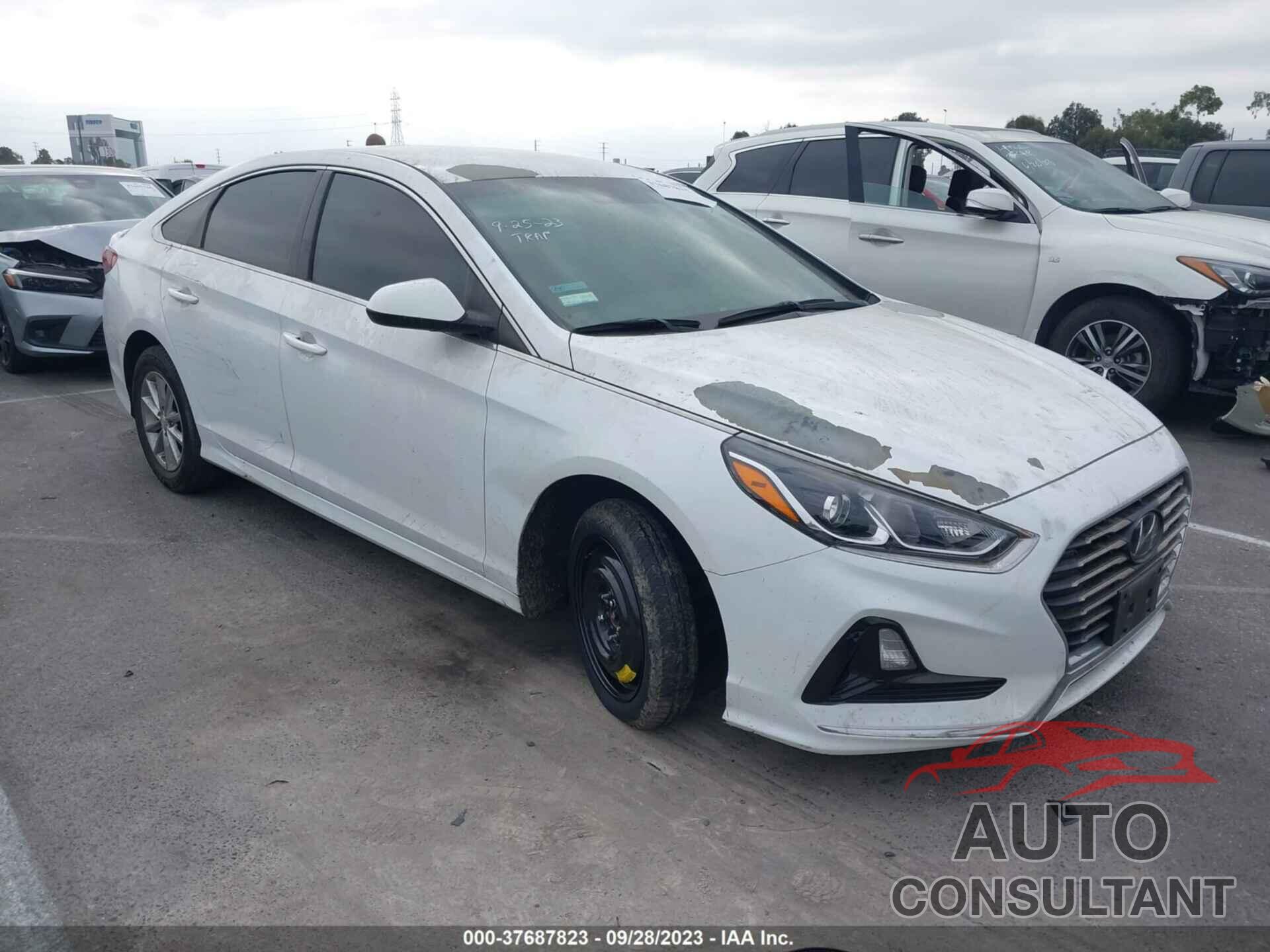 HYUNDAI SONATA 2018 - 5NPE24AFXJH700638