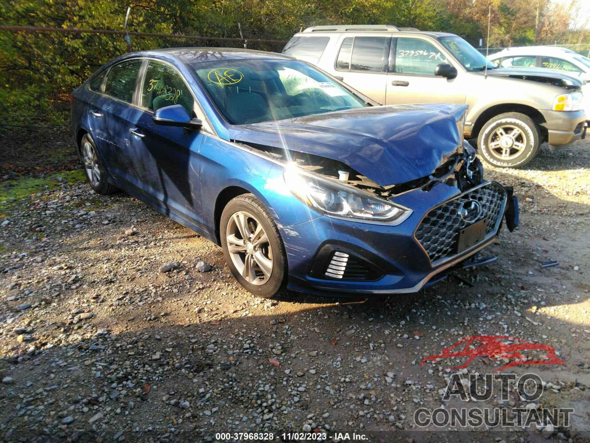 HYUNDAI SONATA 2019 - 5NPE34AF0KH750897