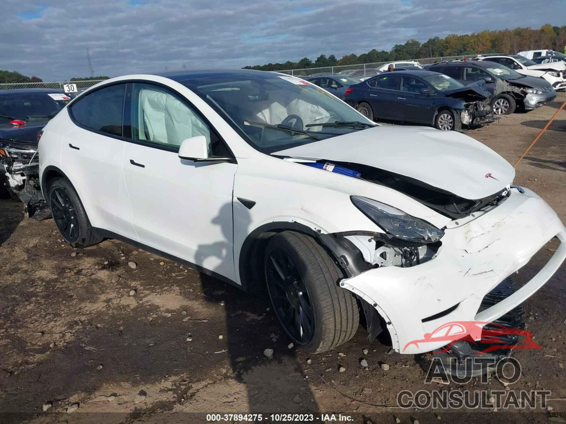 TESLA MODEL Y 2023 - 7SAYGDEE5PF690384