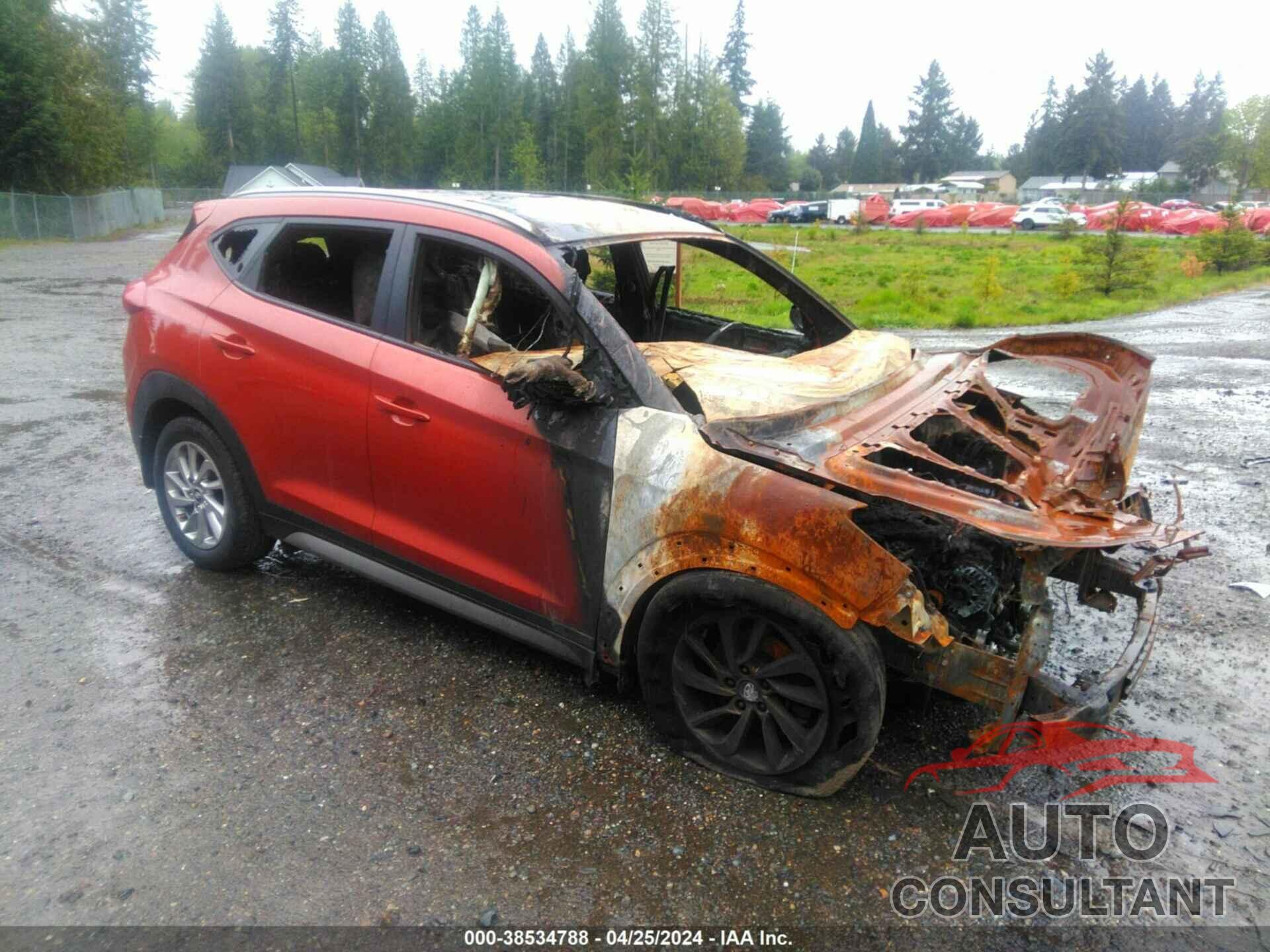 HYUNDAI TUCSON 2017 - KM8J3CA42HU273617