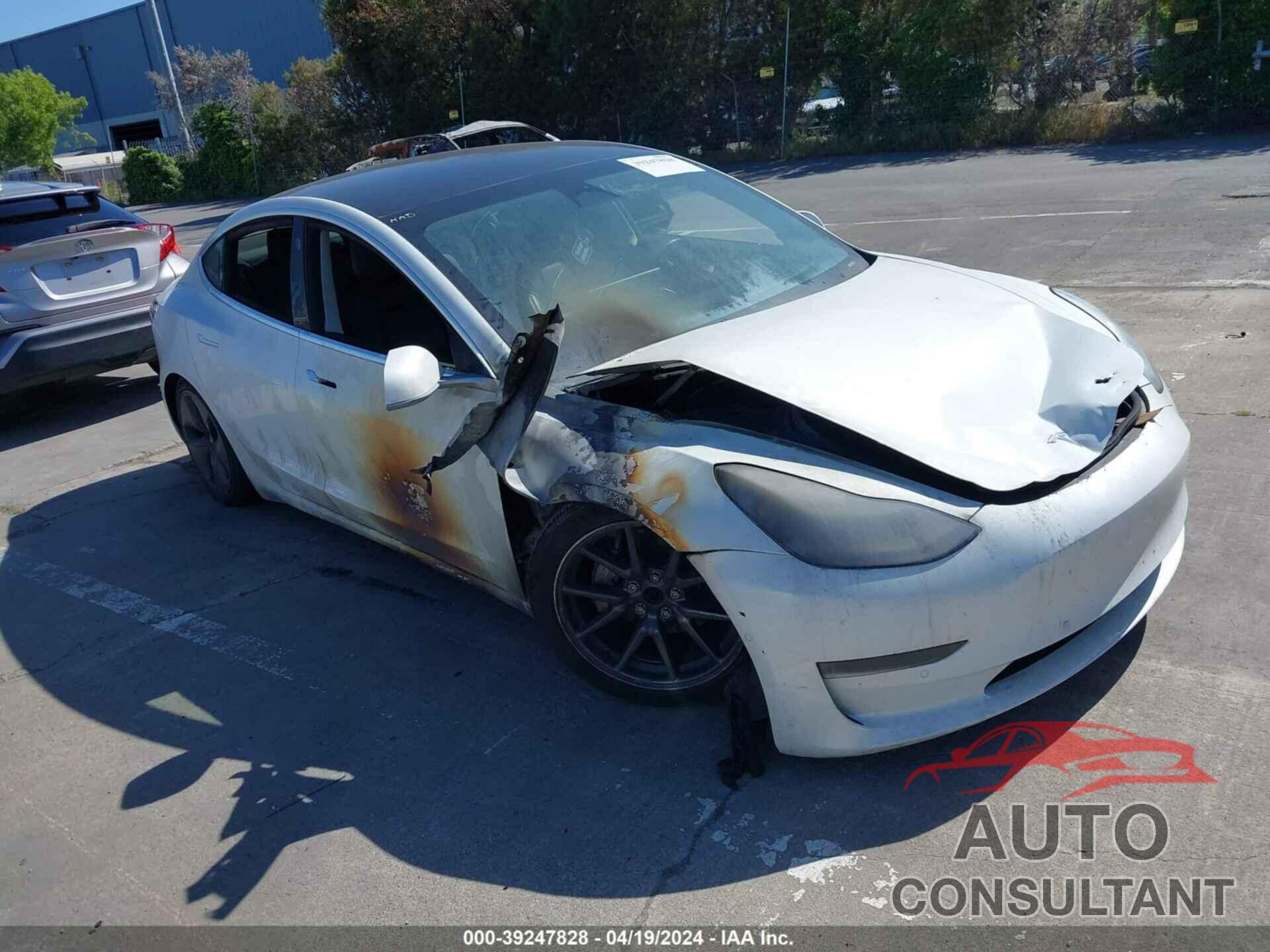 TESLA MODEL 3 2019 - 5YJ3E1EA2KF484246