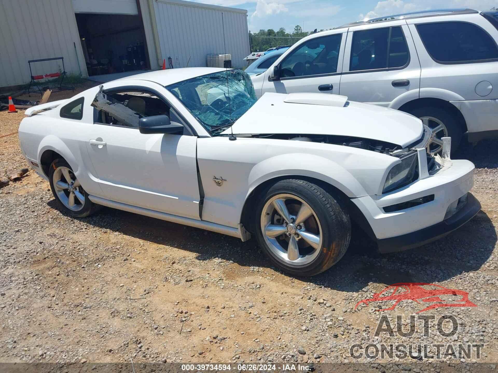 FORD MUSTANG 2009 - 1ZVHT82HX95110000
