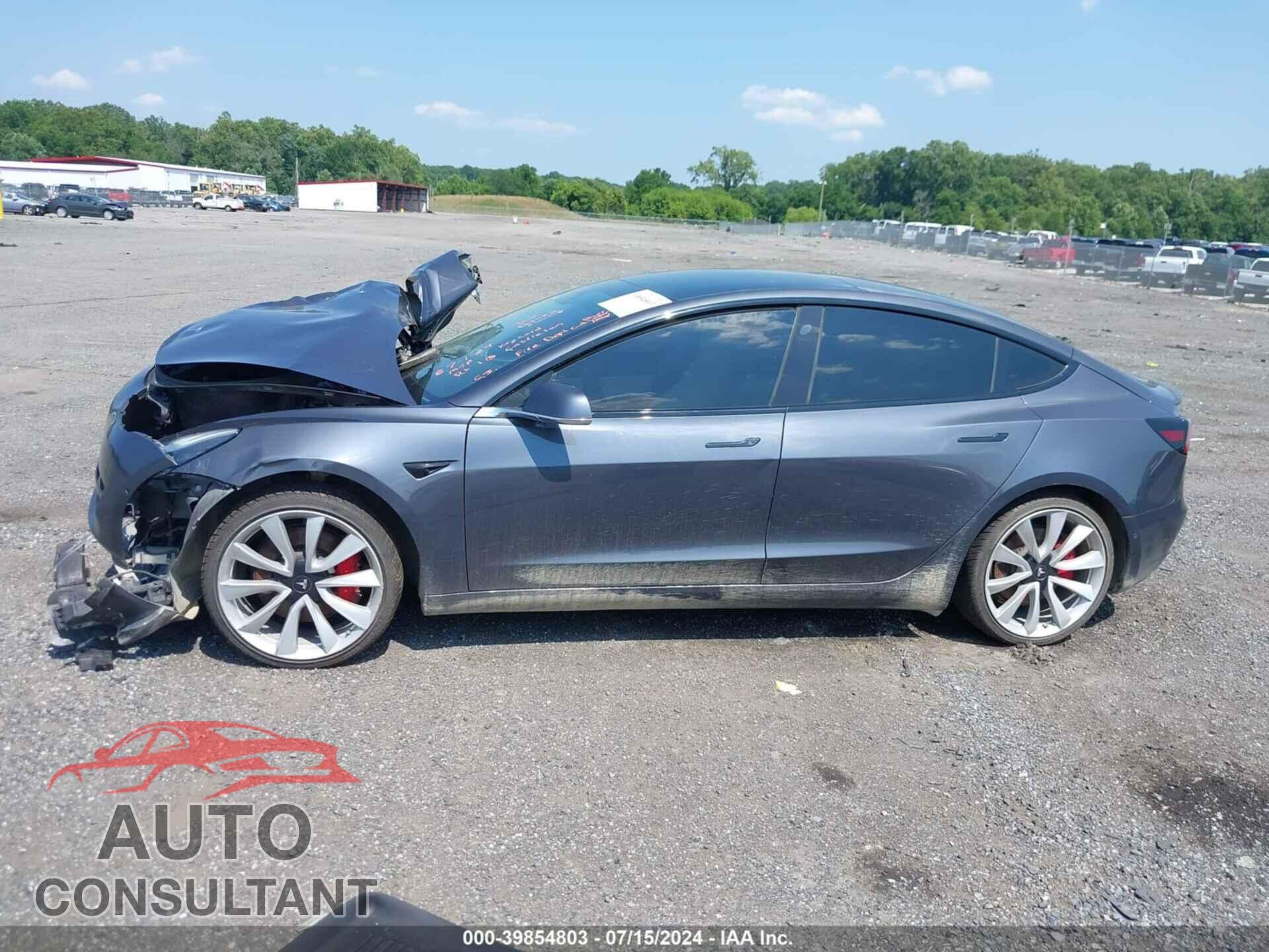 TESLA MODEL 3 2019 - 5YJ3E1EB9KF393676
