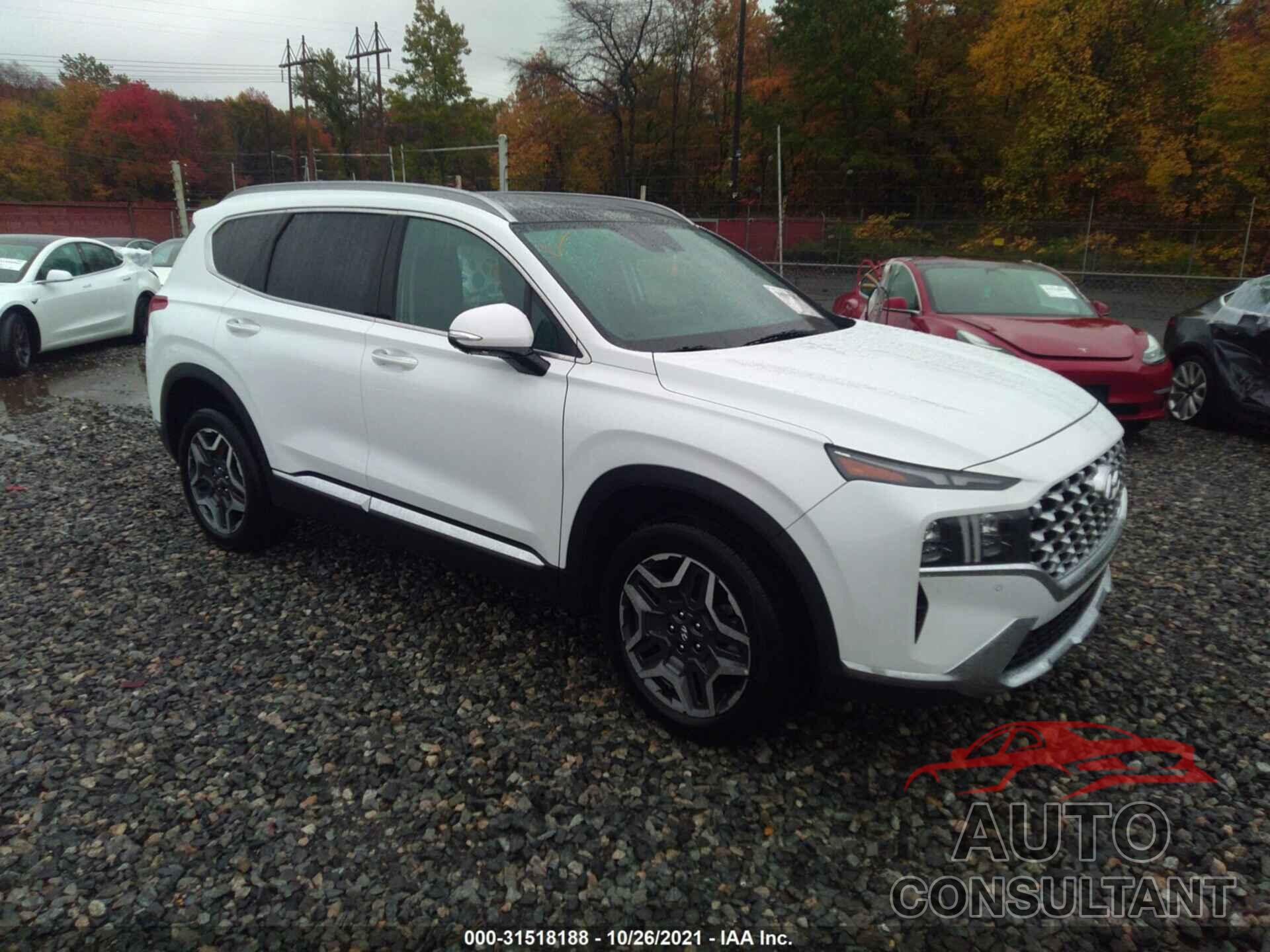 HYUNDAI SANTA FE 2021 - 5NMS4DALXMH318288