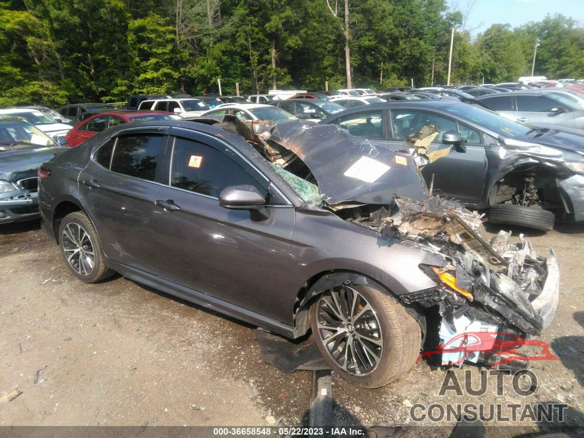 TOYOTA CAMRY 2019 - 4T1B11HK0KU790134