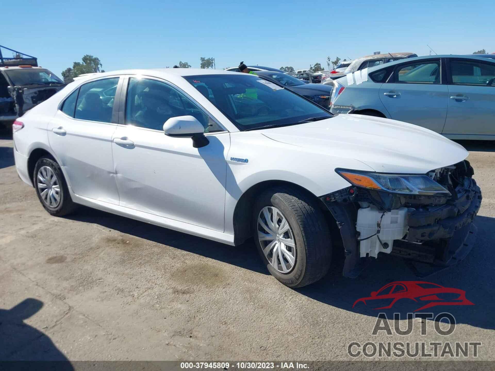 TOYOTA CAMRY 2019 - 4T1B31HK5KU006332