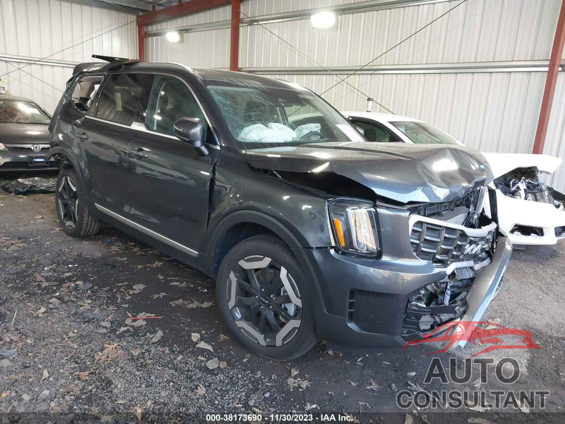 KIA TELLURIDE 2024 - 5XYP6DGC7RG420785