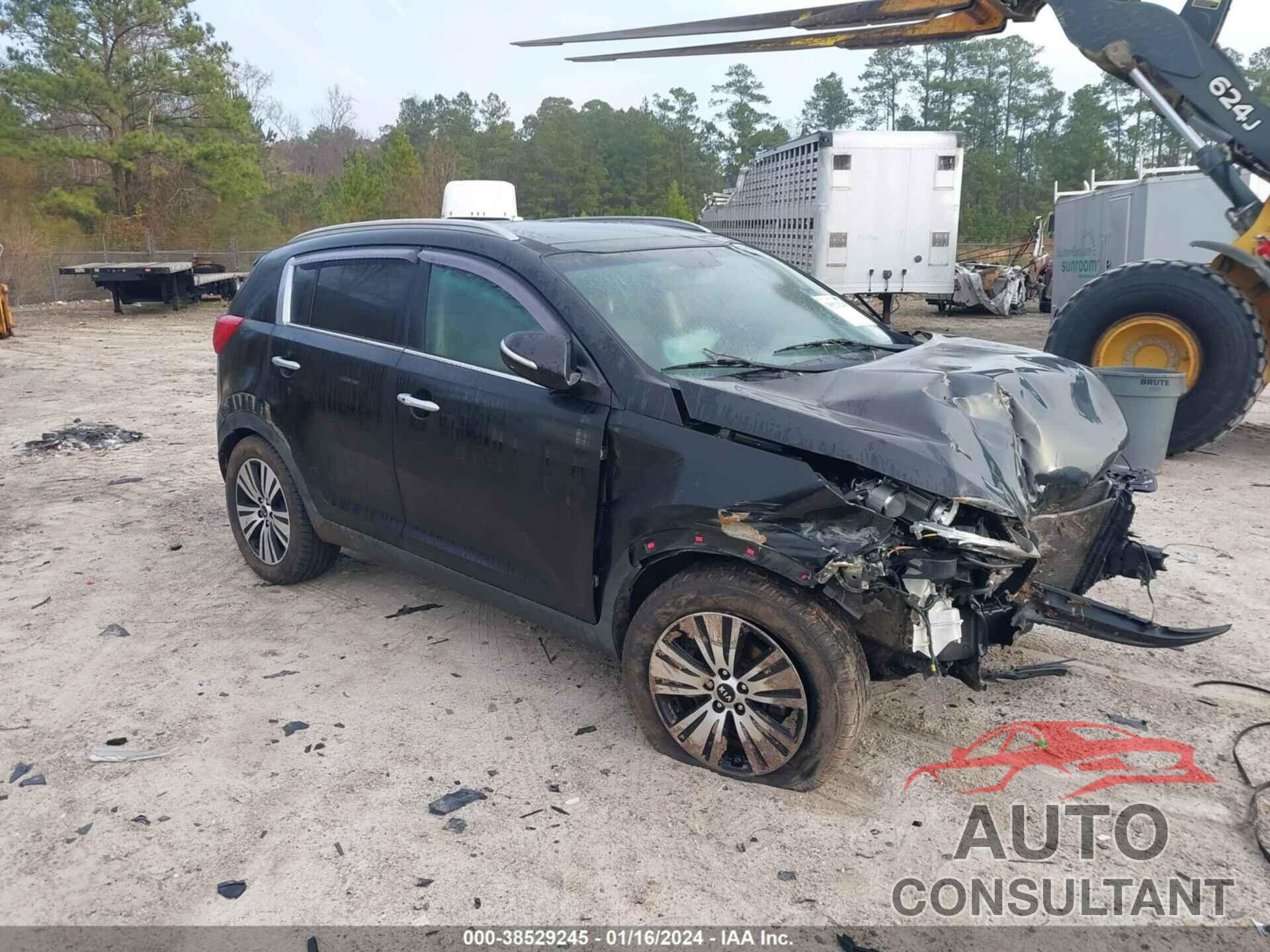 KIA SPORTAGE 2016 - KNDPC3AC1G7863083