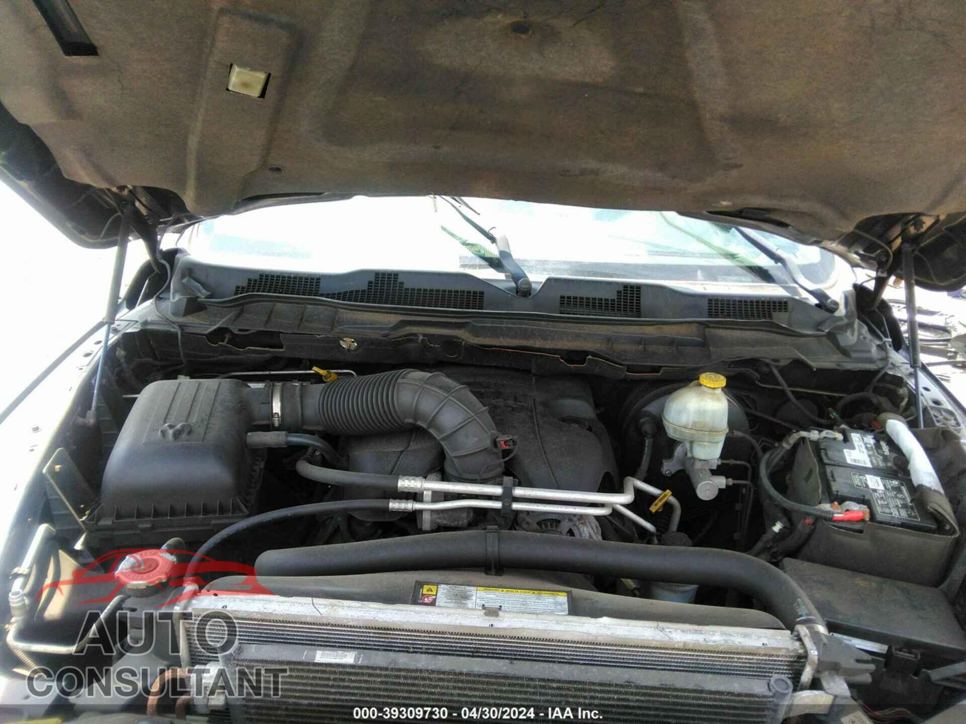 DODGE RAM 1500 2010 - 1D7RV1CTXAS242813