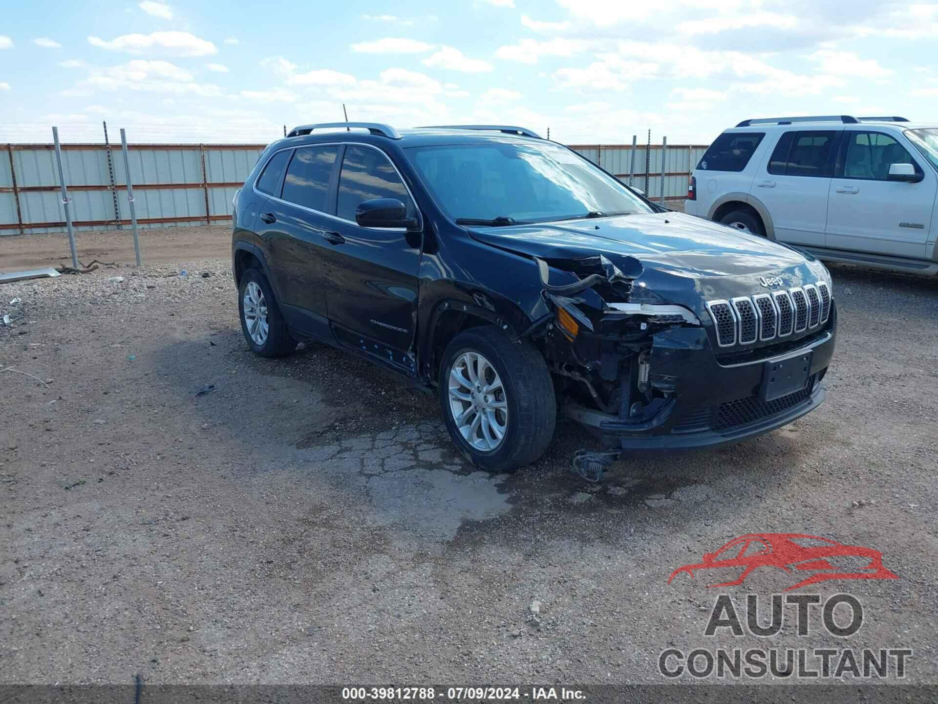 JEEP CHEROKEE 2019 - 1C4PJLCB4KD420219