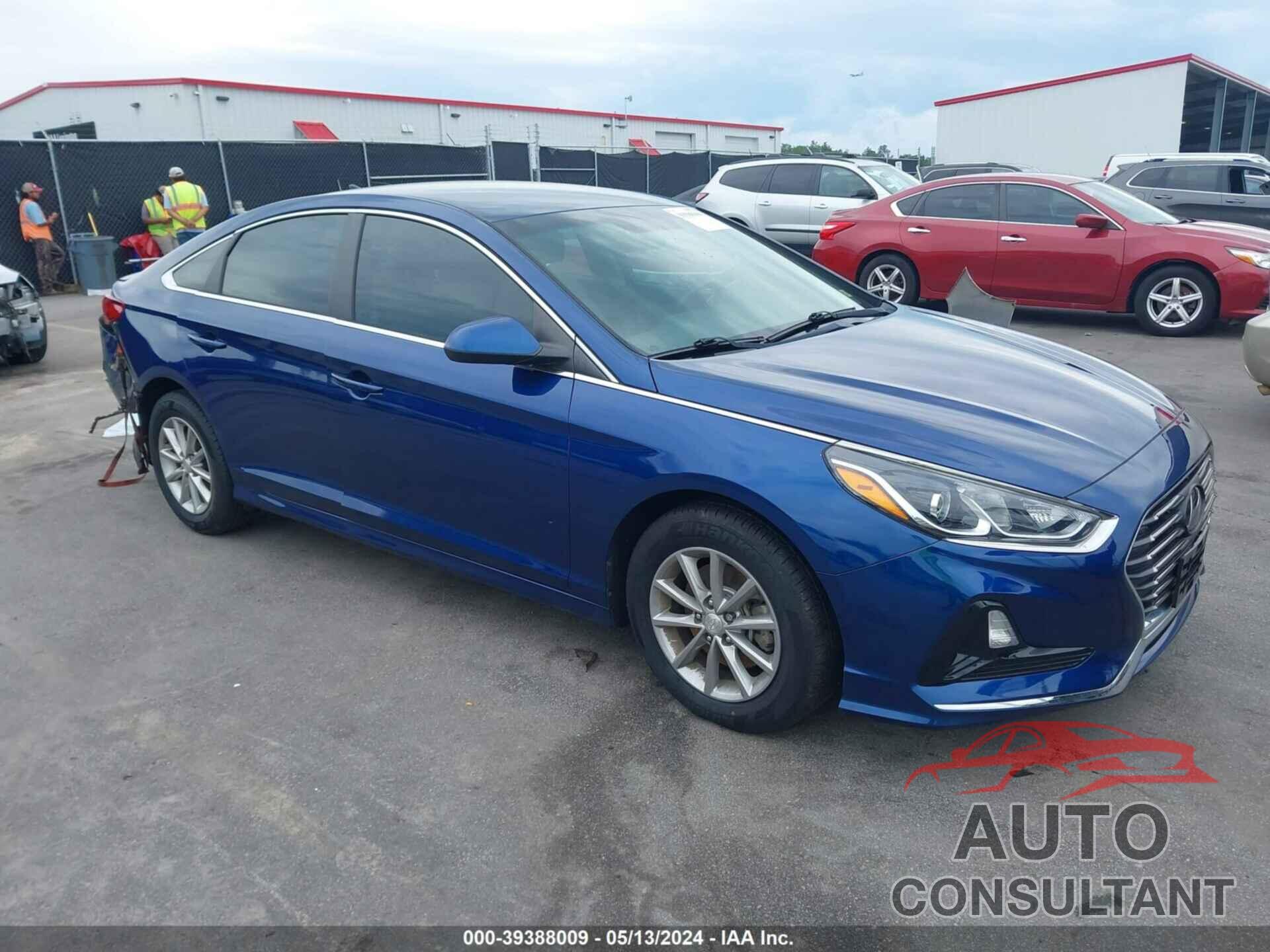 HYUNDAI SONATA 2019 - 5NPE24AF7KH788923
