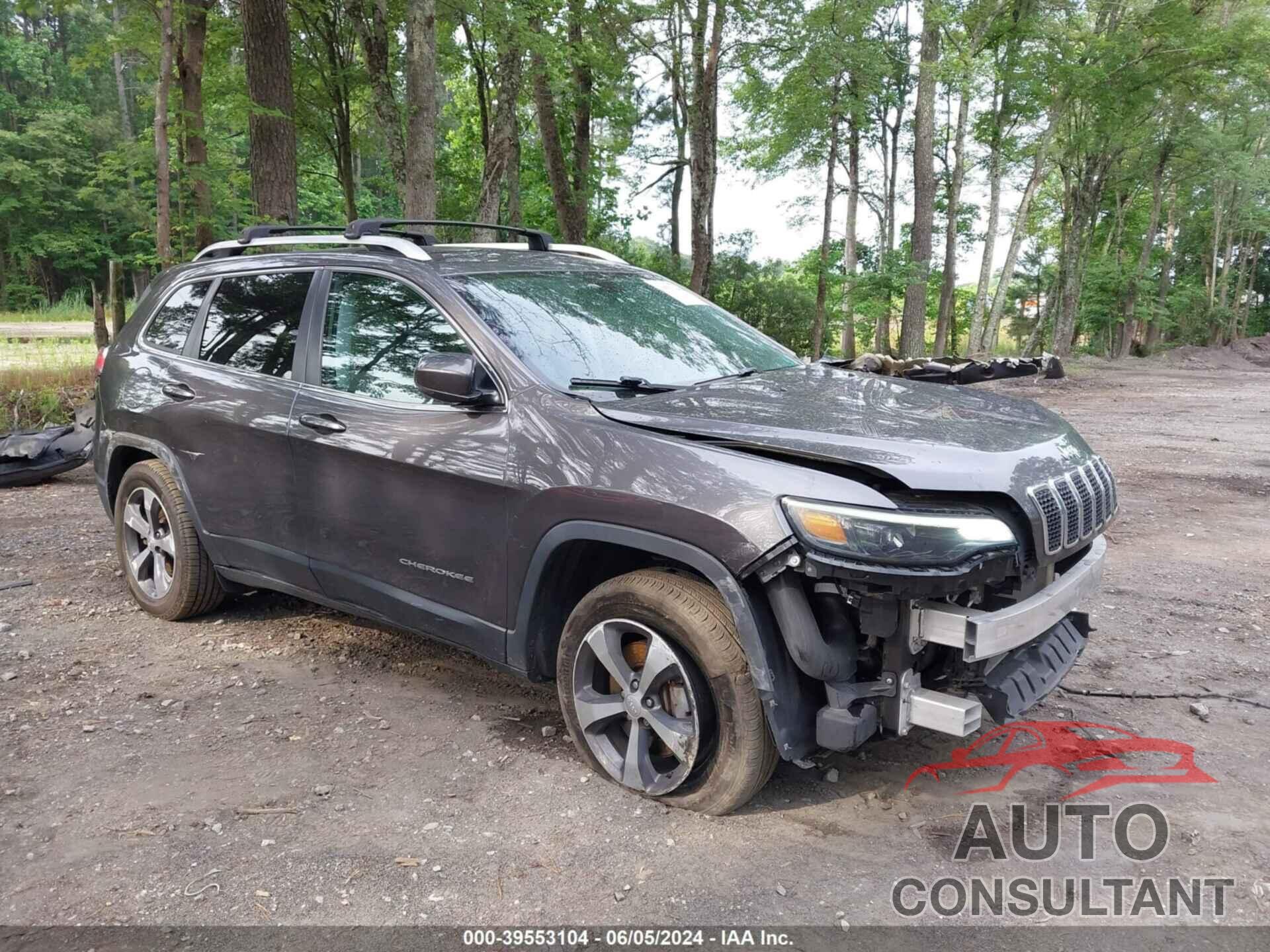 JEEP CHEROKEE 2019 - 1C4PJMDX0KD331120