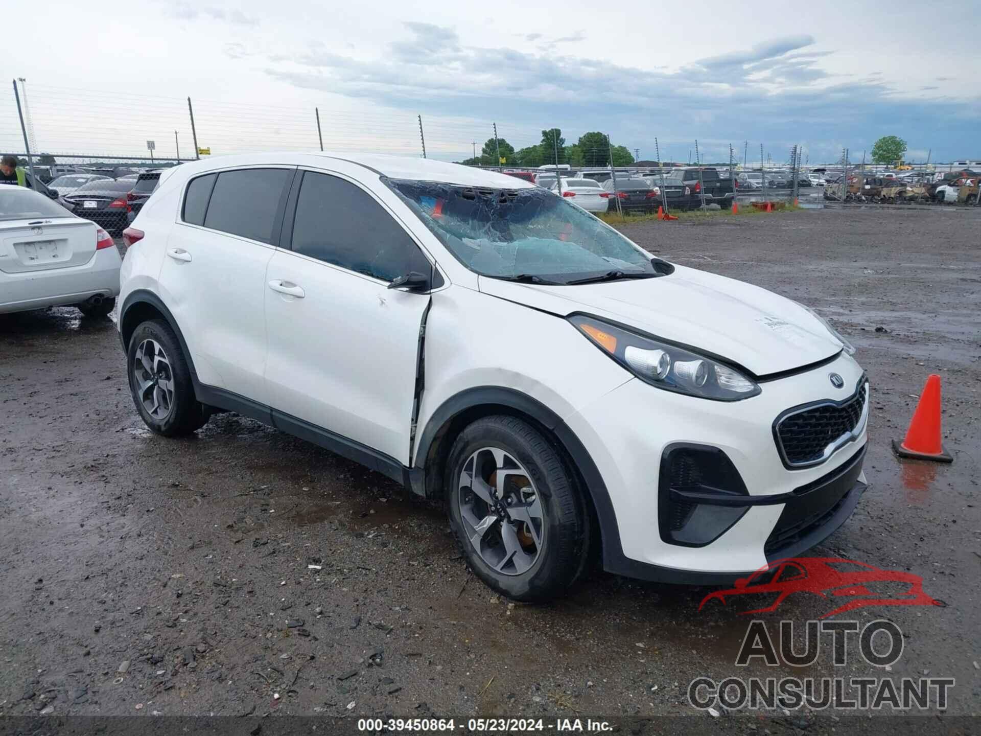 KIA SPORTAGE 2022 - KNDPM3AC6N7017574