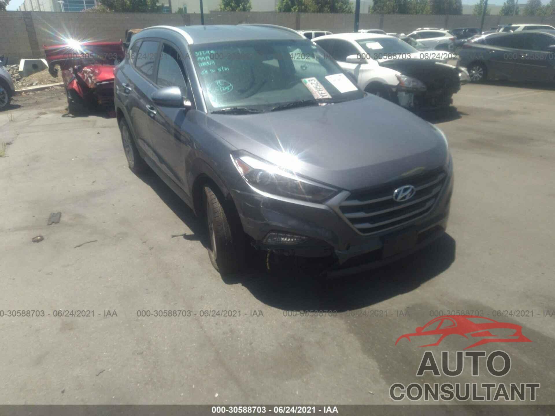 HYUNDAI TUCSON 2017 - KM8J33A46HU429917