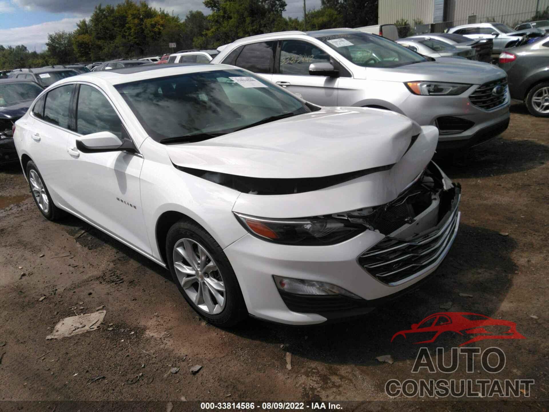 CHEVROLET MALIBU 2019 - 1G1ZD5ST4KF224333