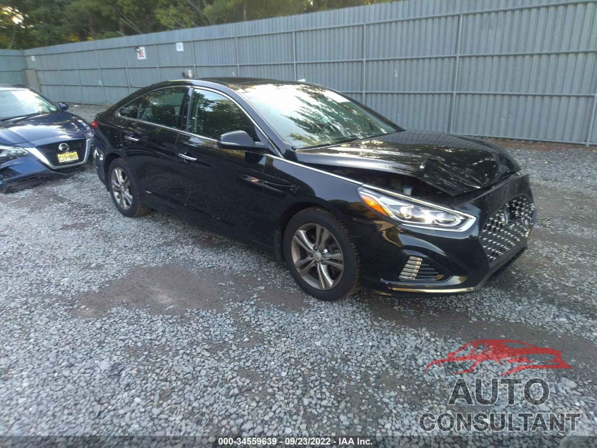 HYUNDAI SONATA 2019 - 5NPE34AFXKH805534