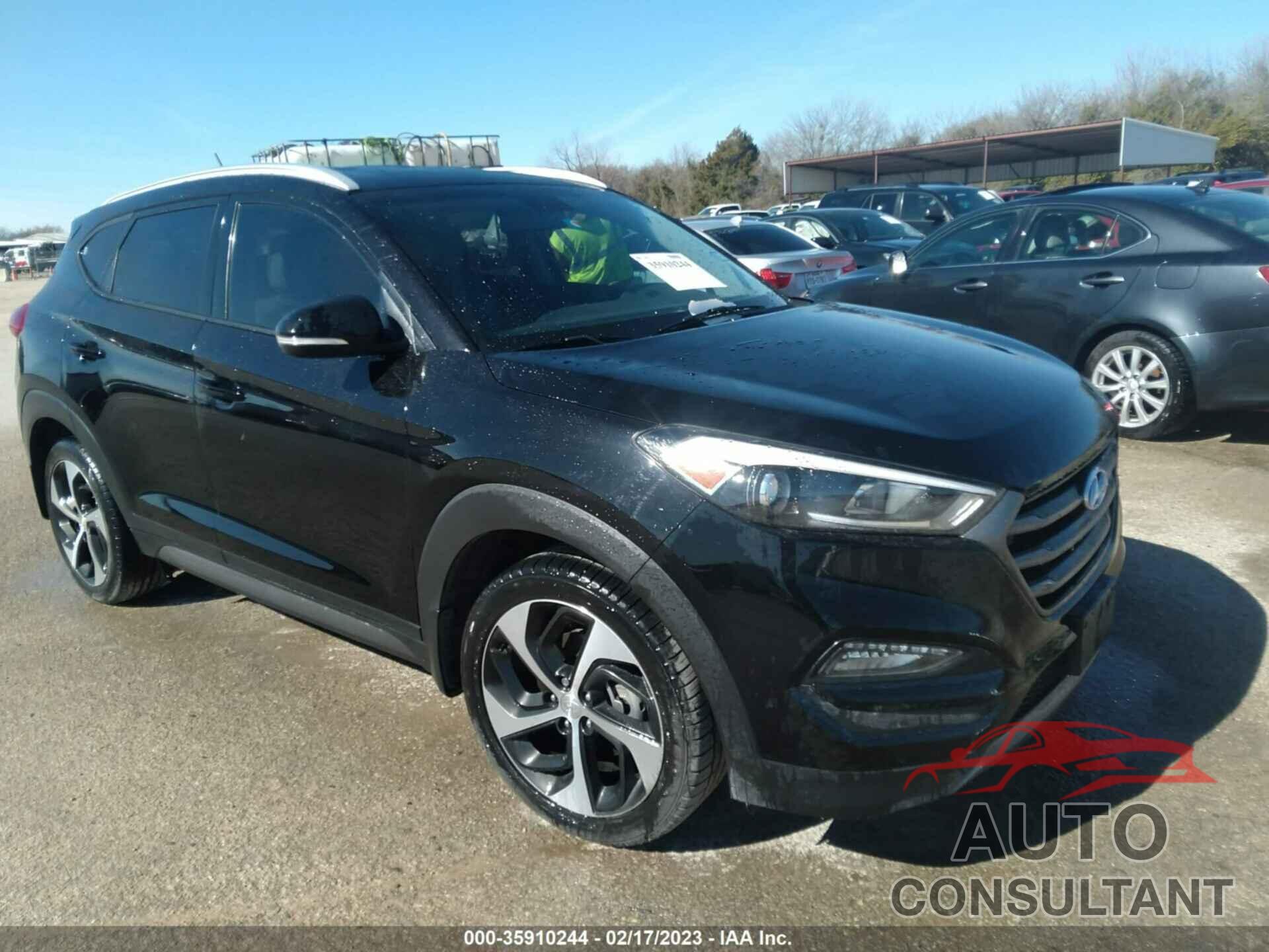 HYUNDAI TUCSON 2016 - KM8J33A24GU256010