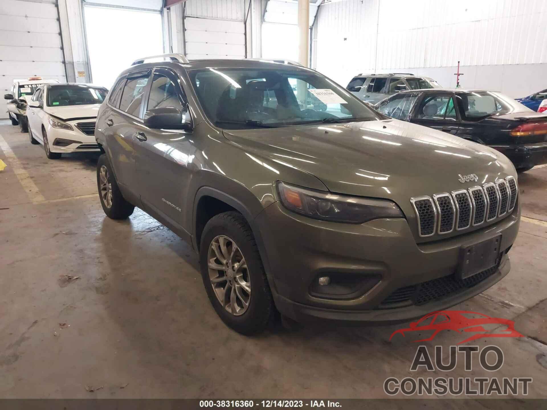 JEEP CHEROKEE 2019 - 1C4PJMLN0KD355420