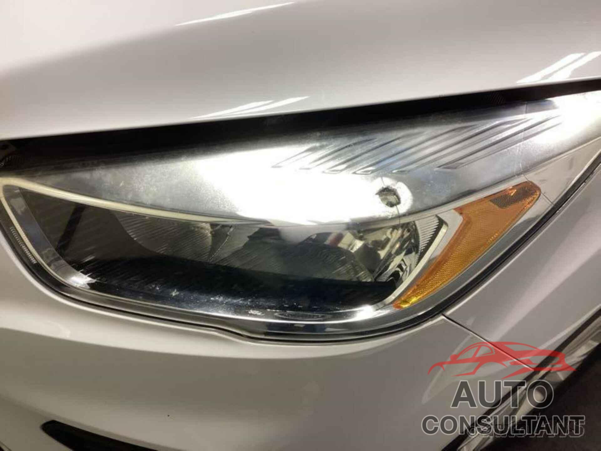 FORD ESCAPE 2019 - 1FMCU0GD8KUC07835