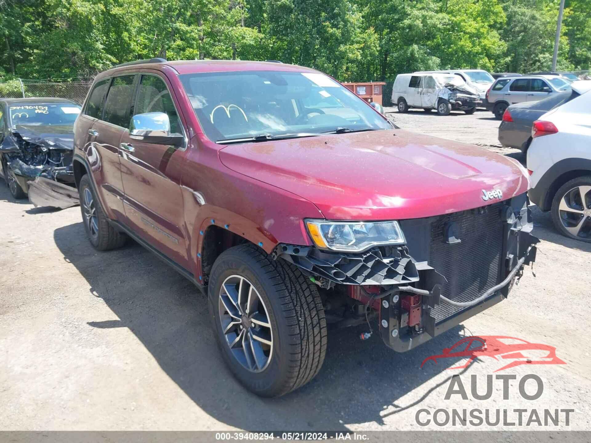 JEEP GRAND CHEROKEE 2019 - 1C4RJFBG4KC695313