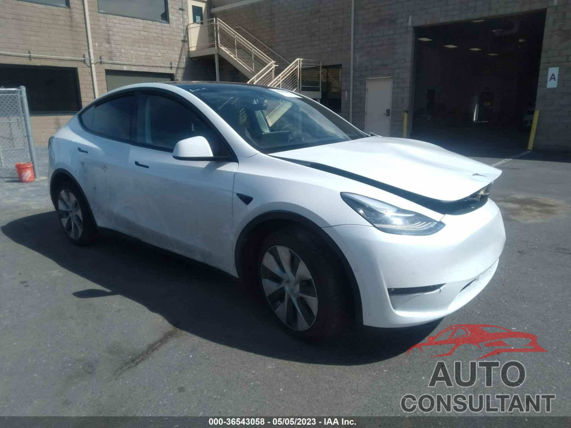 TESLA MODEL Y 2022 - 7SAYGAEE5NF484994
