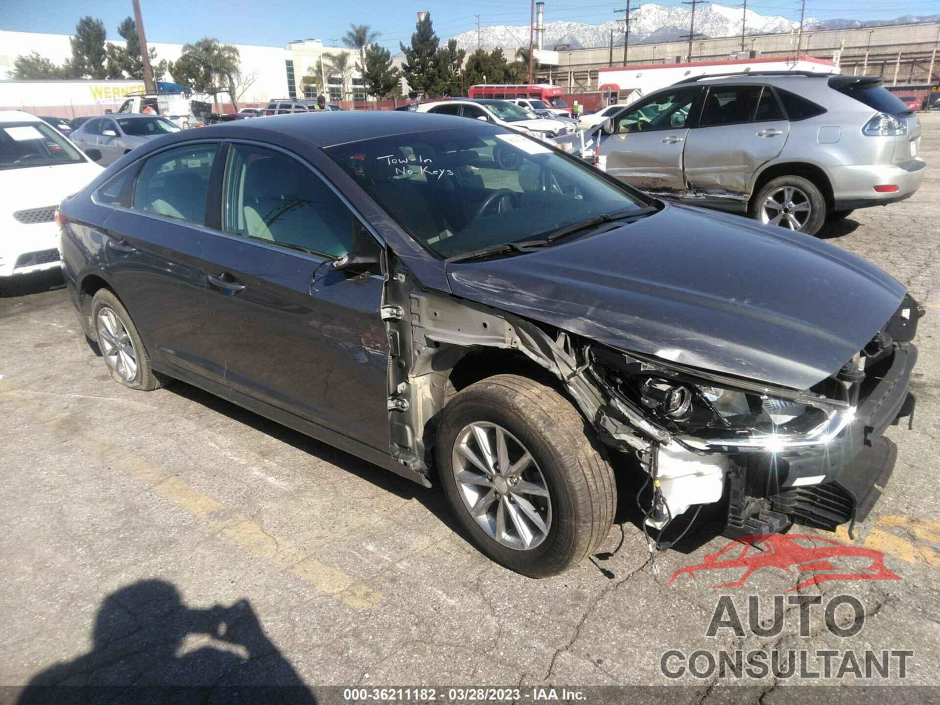 HYUNDAI SONATA 2019 - 5NPE24AF5KH775572
