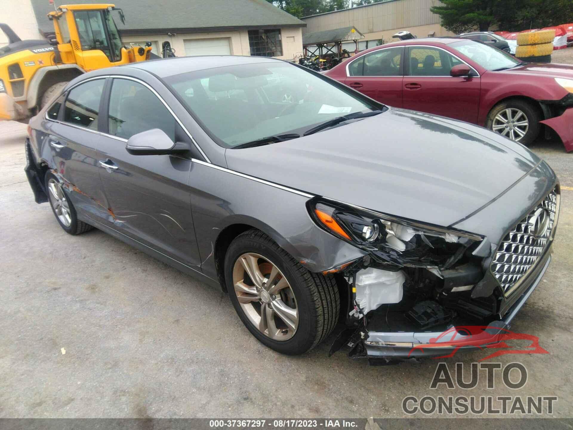 HYUNDAI SONATA 2019 - 5NPE34AF2KH815703