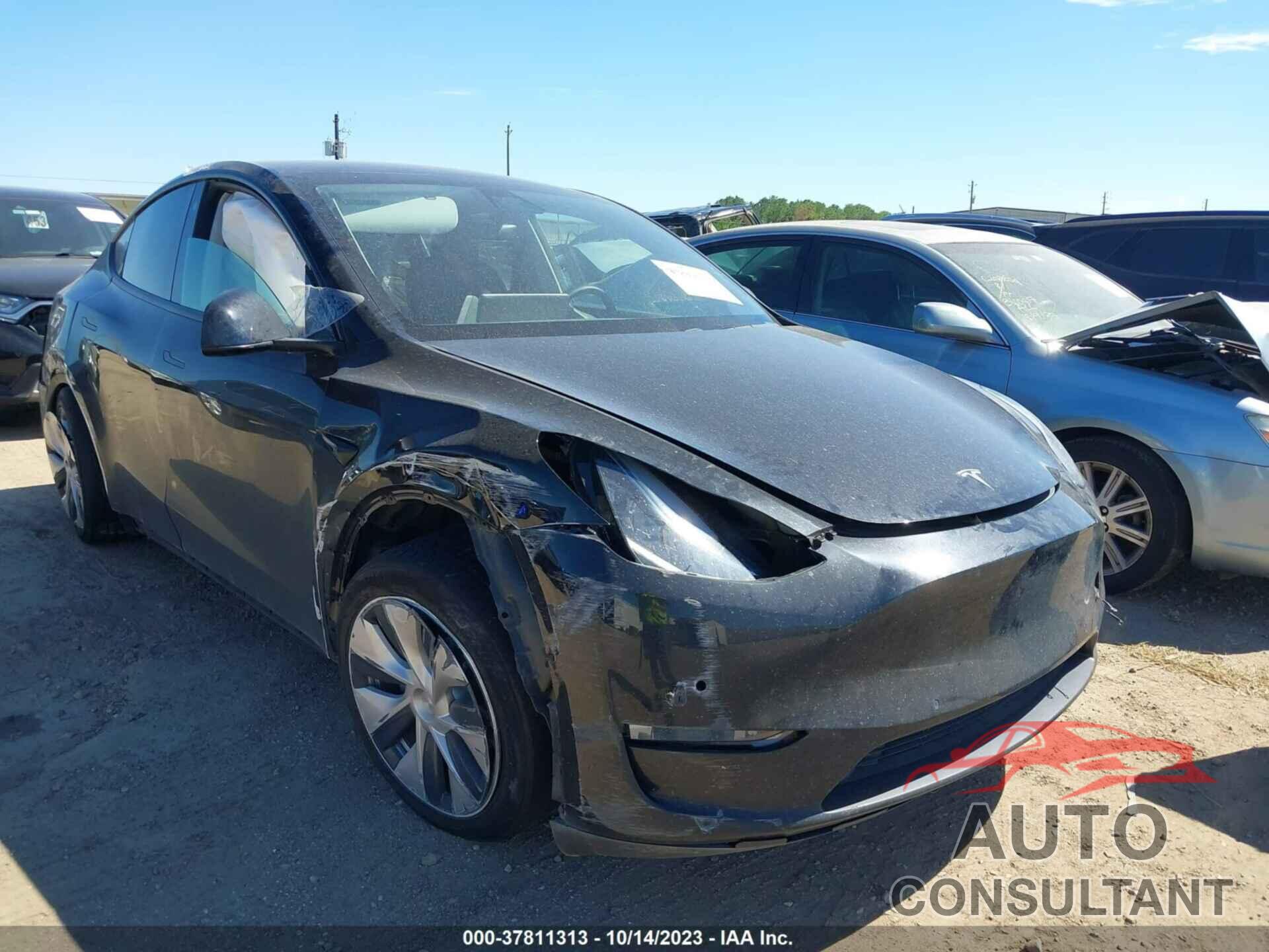 TESLA MODEL Y 2021 - 5YJYGDEE3MF083148