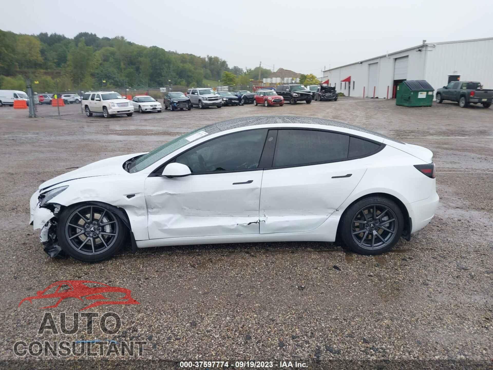 TESLA MODEL 3 2021 - 5YJ3E1EA3MF915213