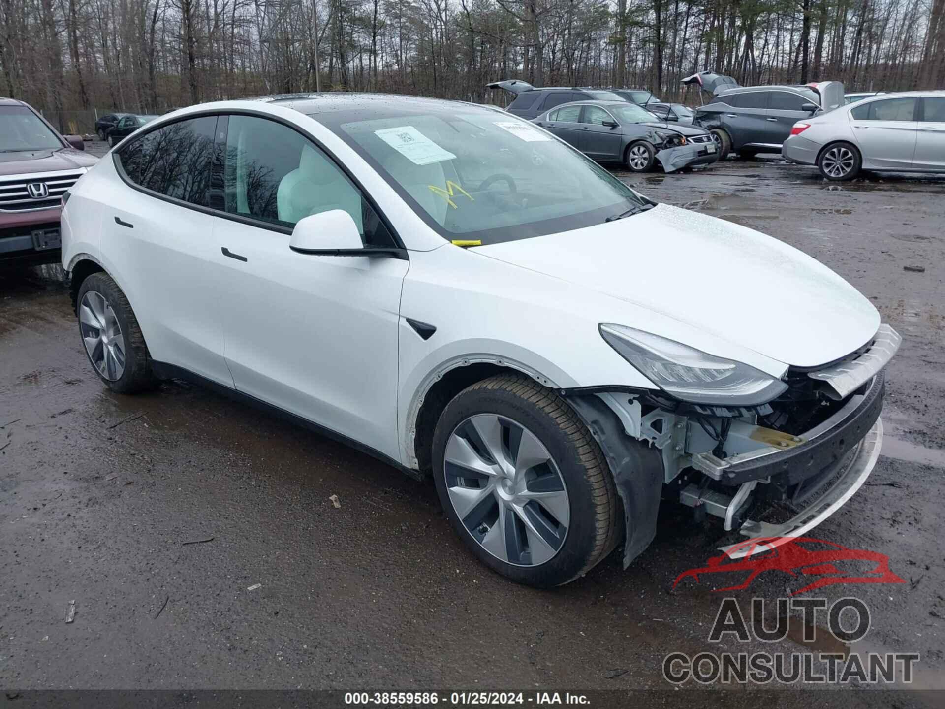 TESLA MODEL Y 2020 - 5YJYGDEE6LF036355