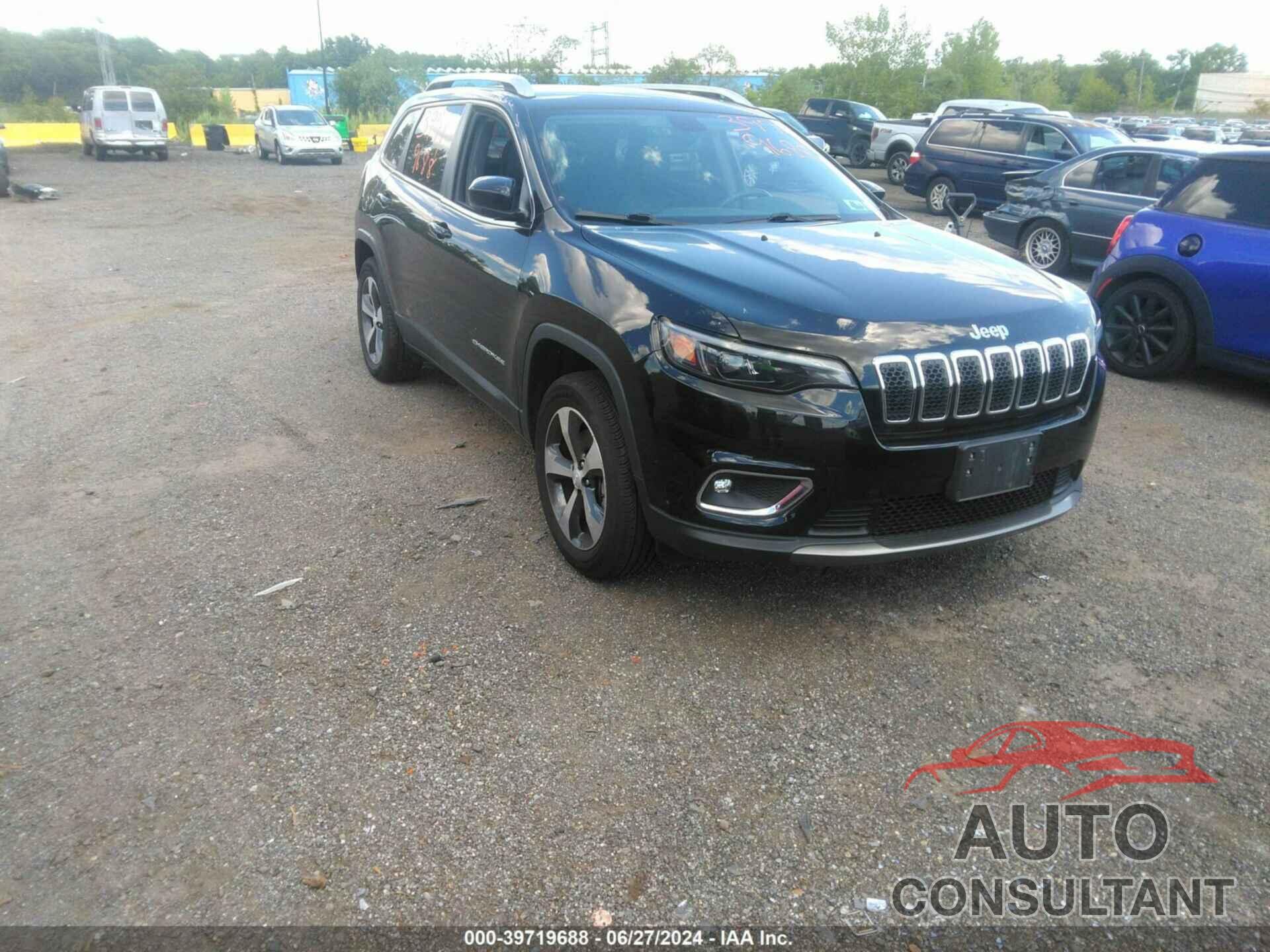 JEEP CHEROKEE 2019 - 1C4PJMDX0KD229011