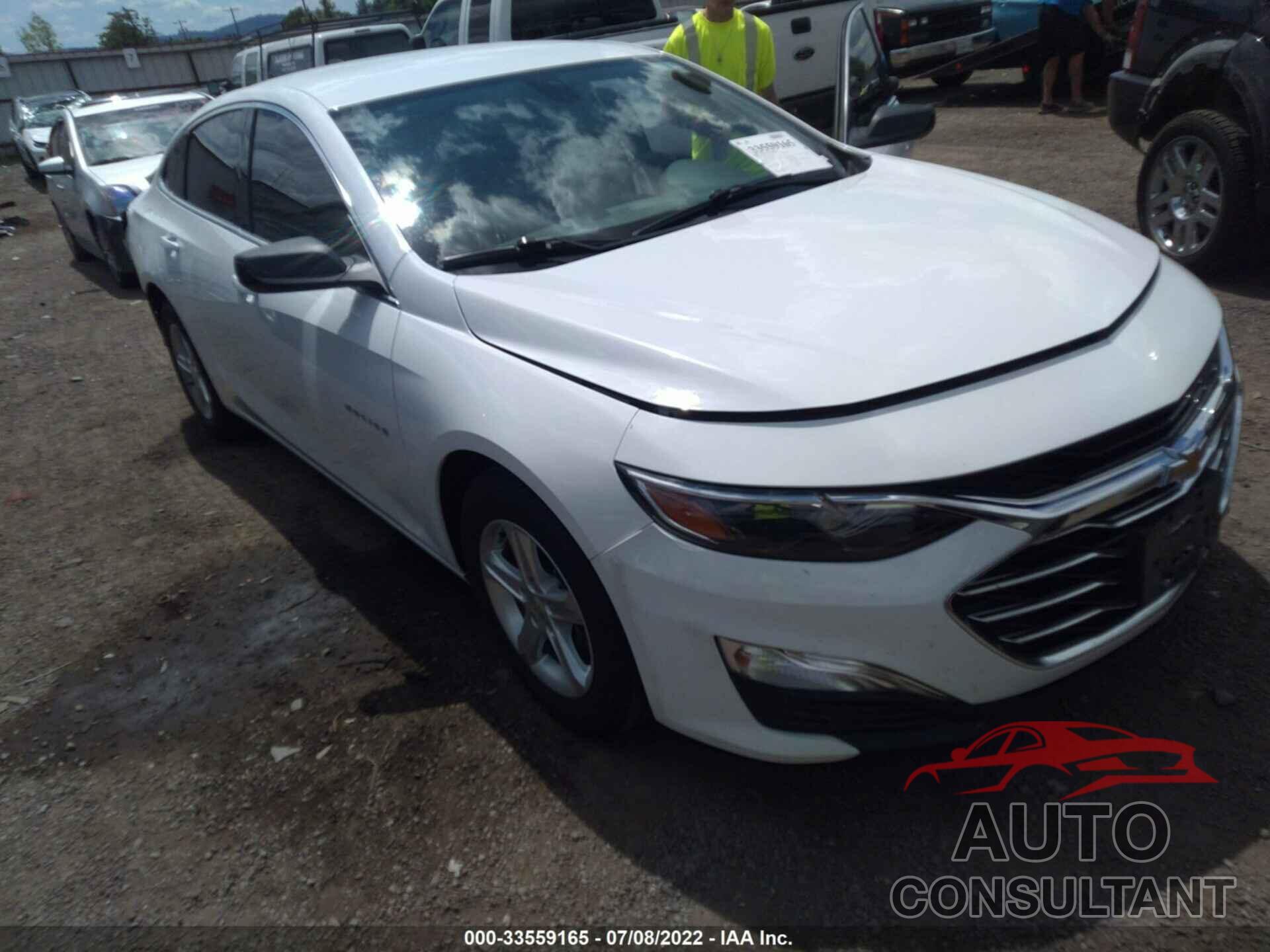 CHEVROLET MALIBU 2019 - 1G1ZB5ST2KF176787
