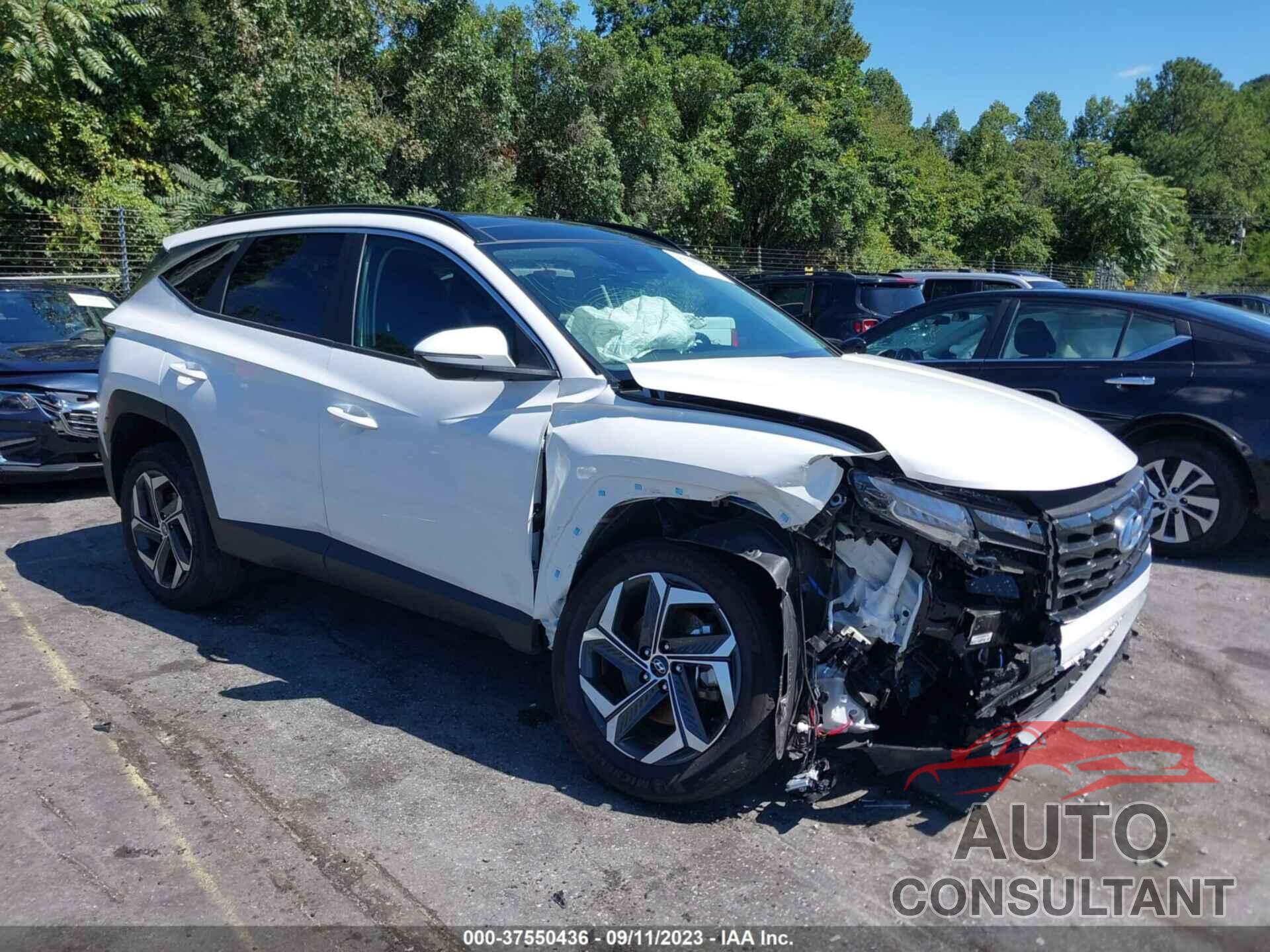 HYUNDAI TUCSON HYBRID 2022 - KM8JFCA10NU066913