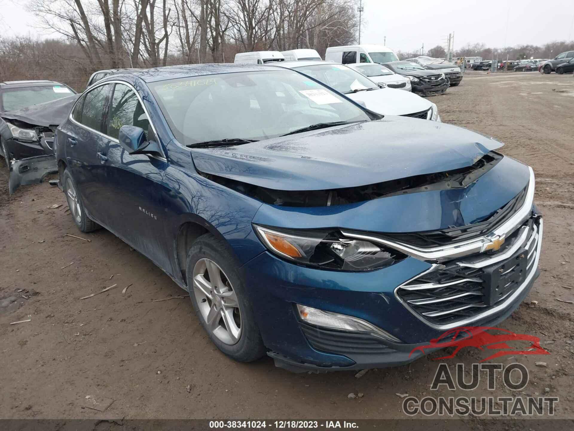 CHEVROLET MALIBU 2019 - 1G1ZC5ST5KF138841